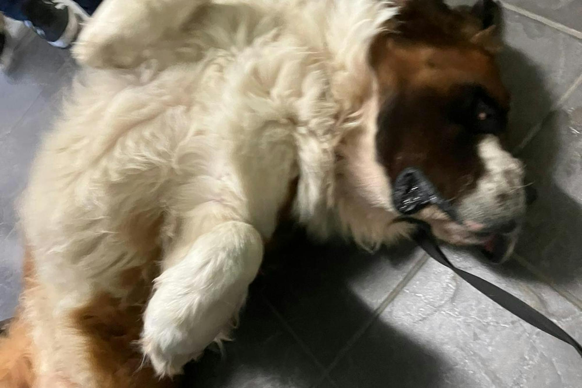 media_XLHVUFMGBD3HEZLT