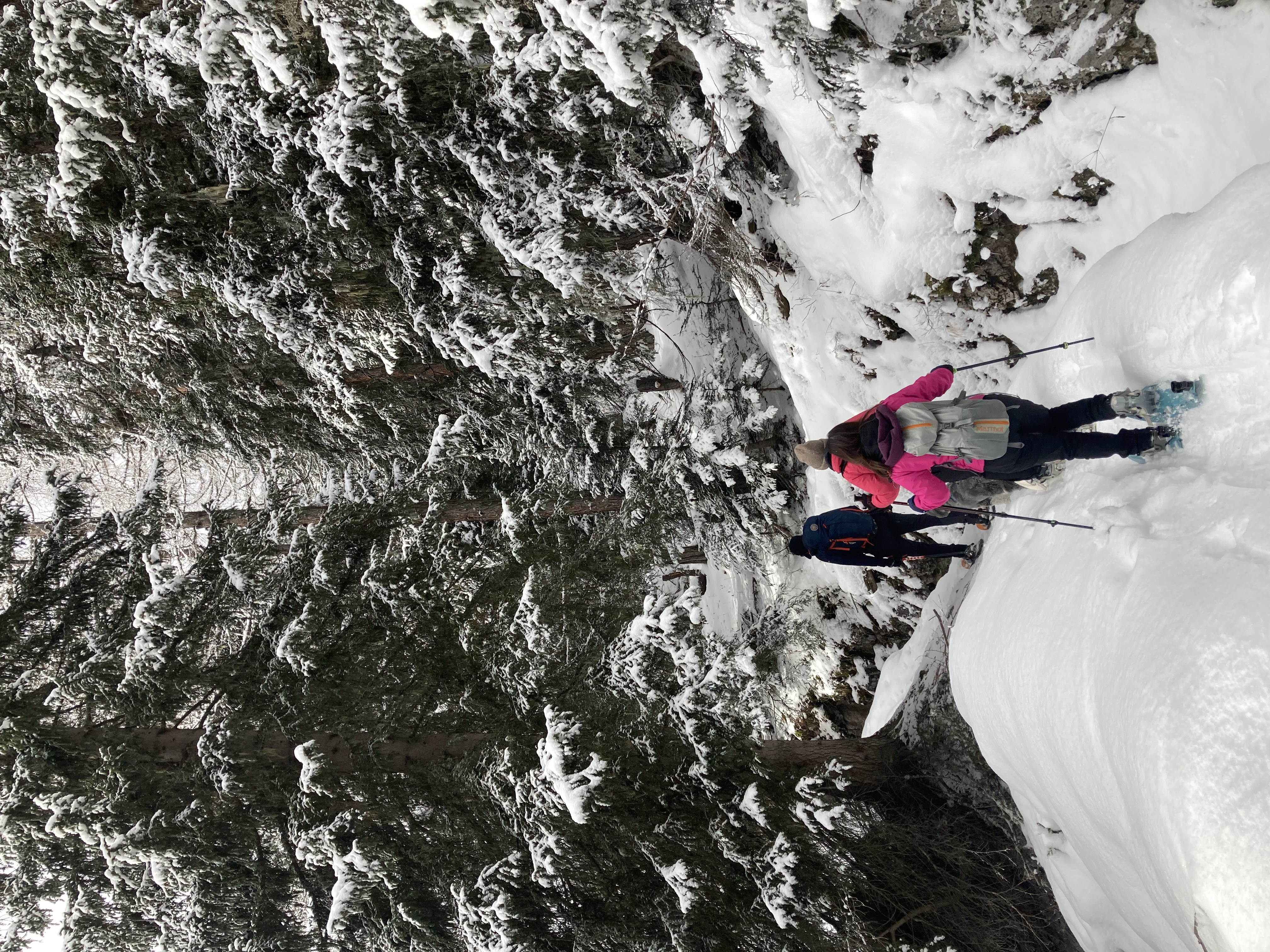 media_XQB7VCC2ME7AR83A