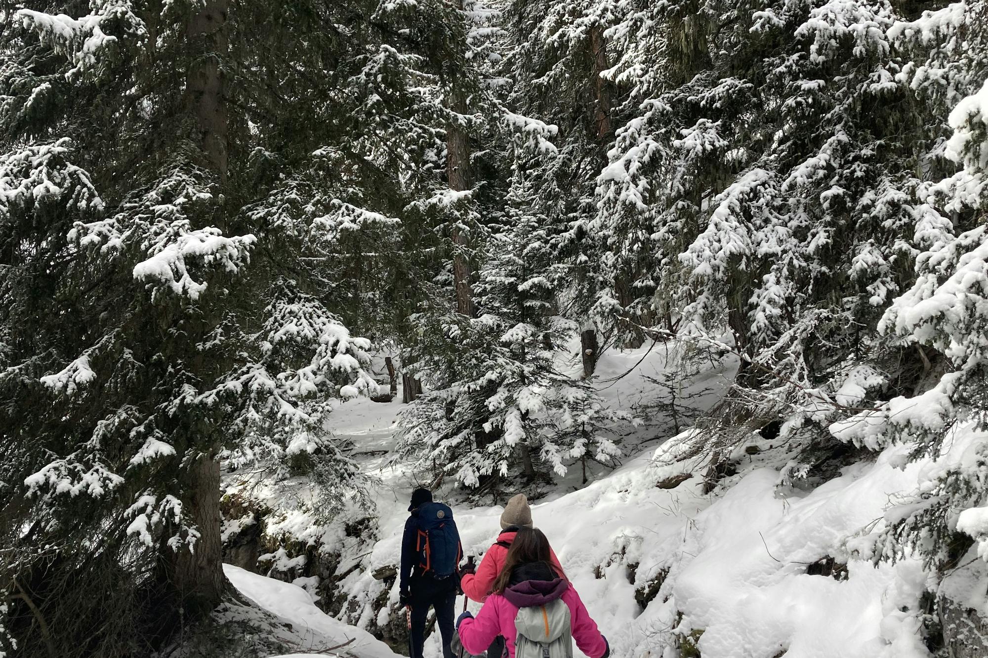 media_XQB7VCC2ME7AR83A