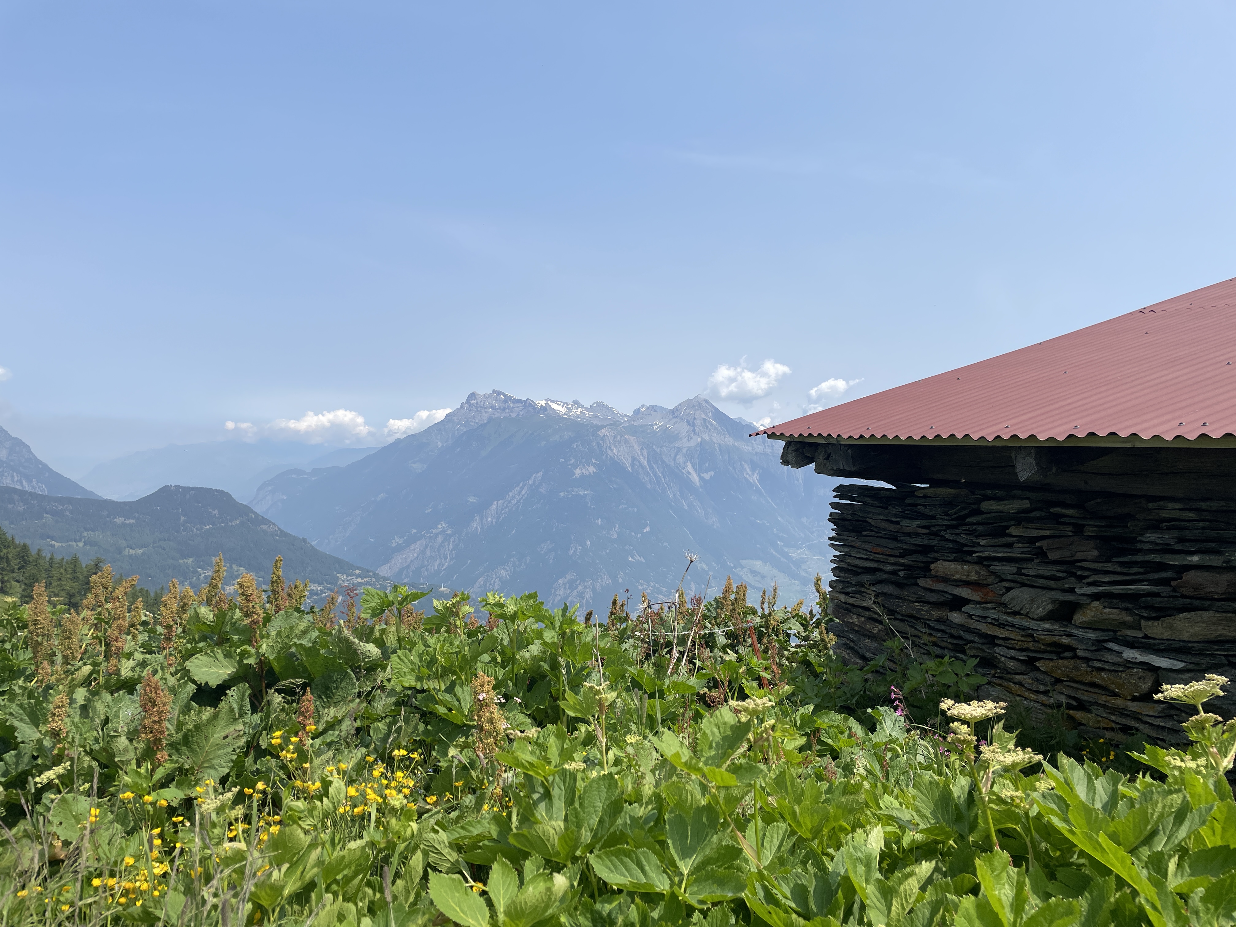 media_YXML6FKQZ2KZ9MRR