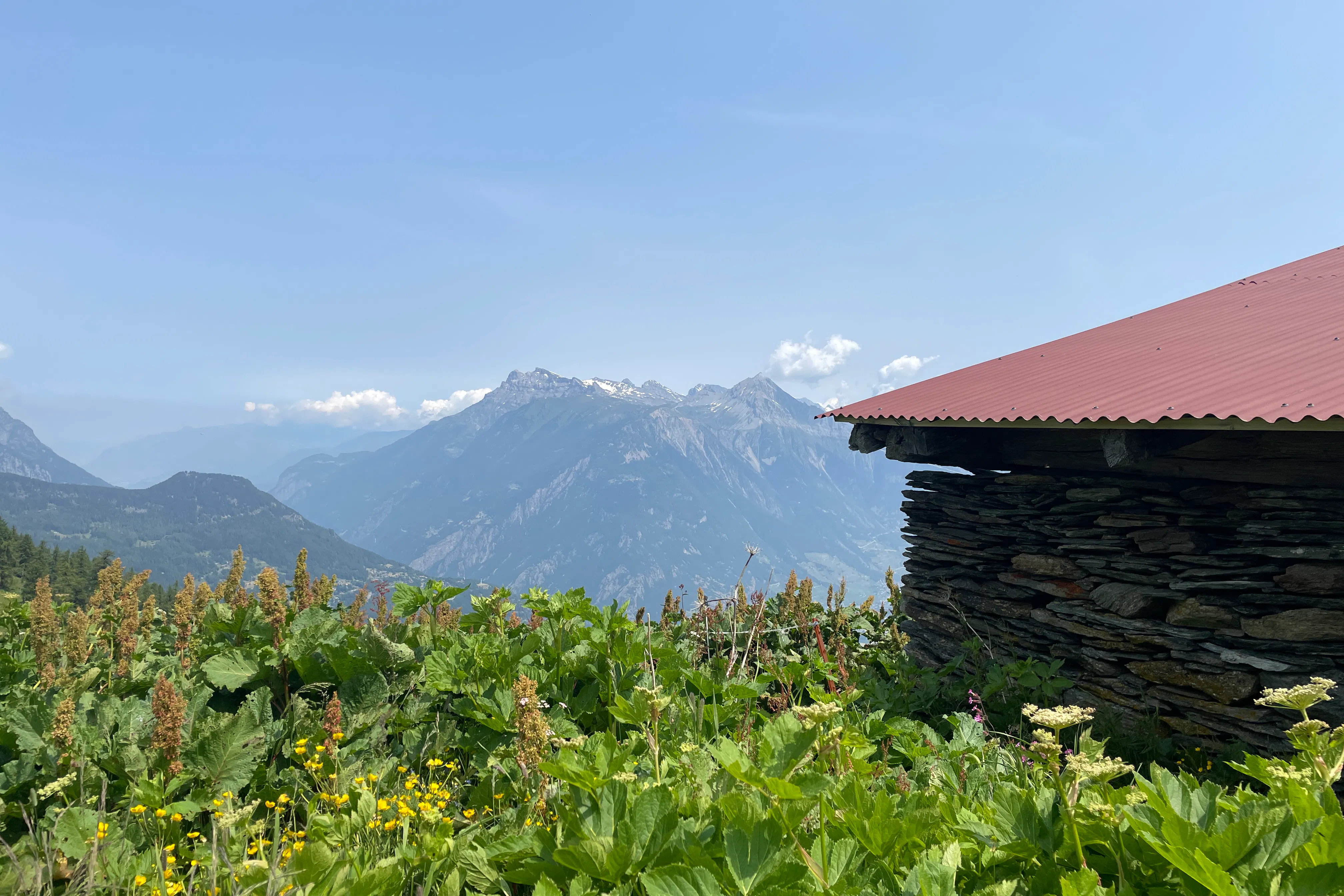 media_YXML6FKQZ2KZ9MRR