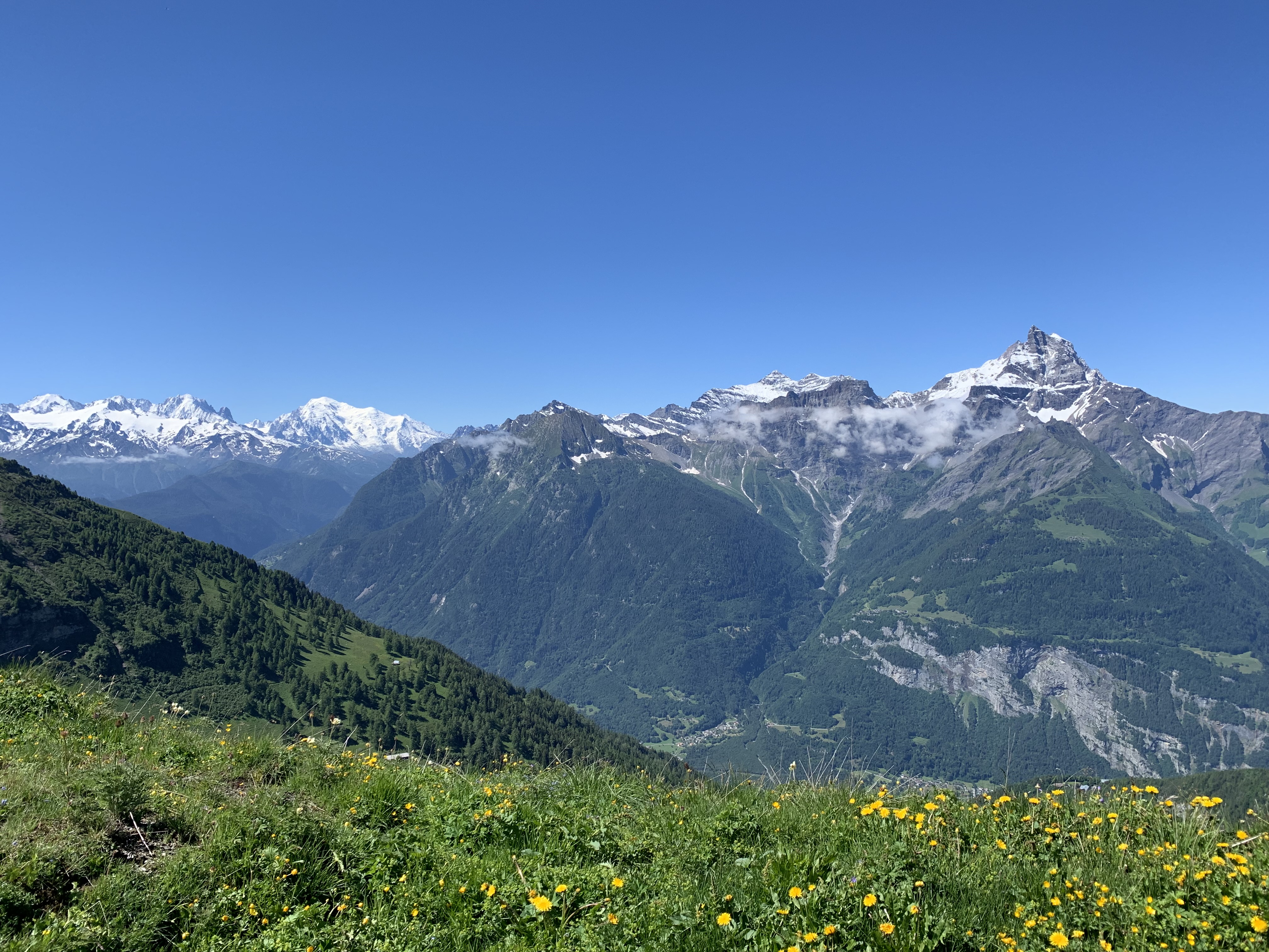 media_ZMWP6USX636R9RD8