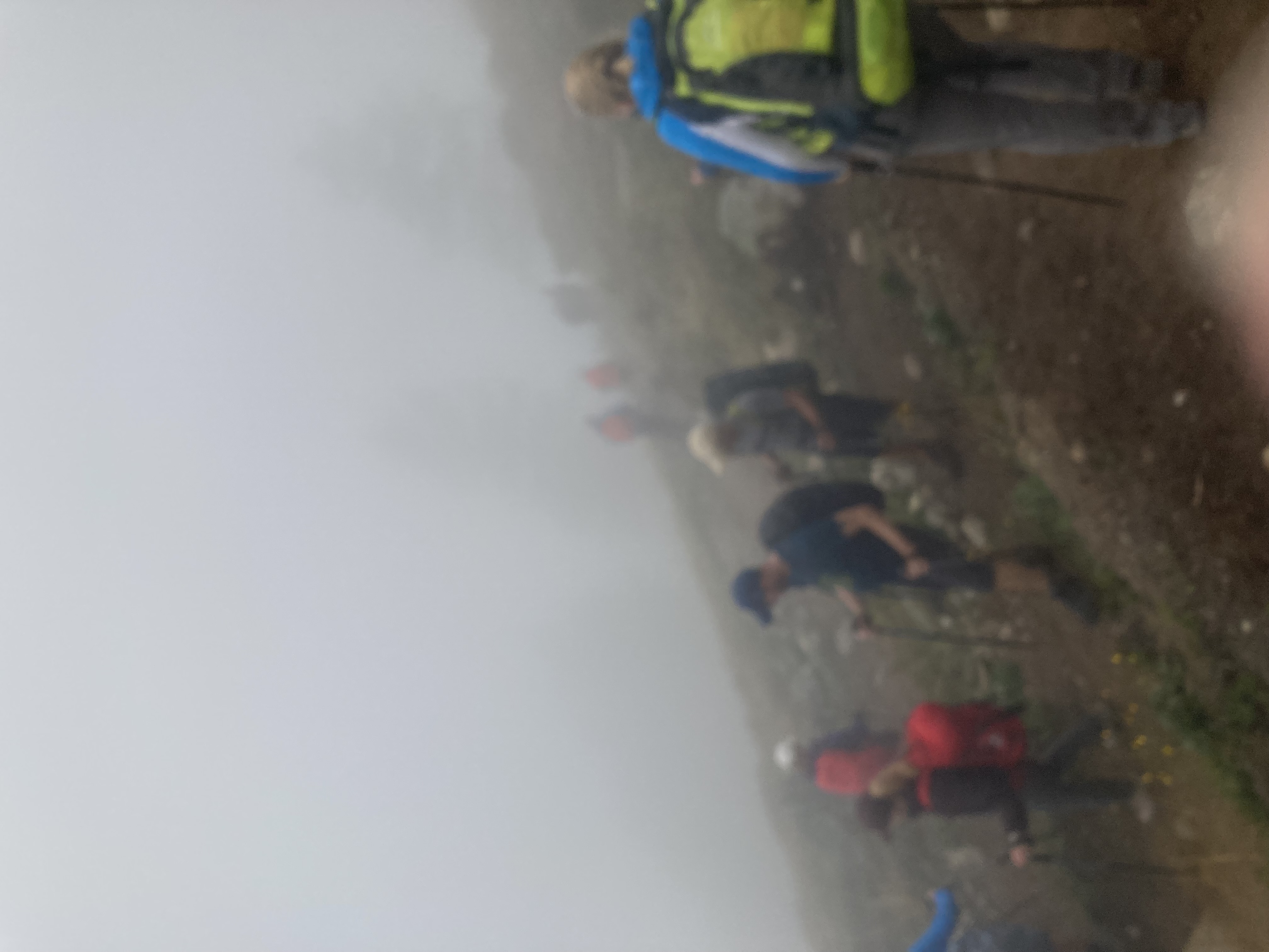 media_ZYWVU5AD3C5JXJ9X