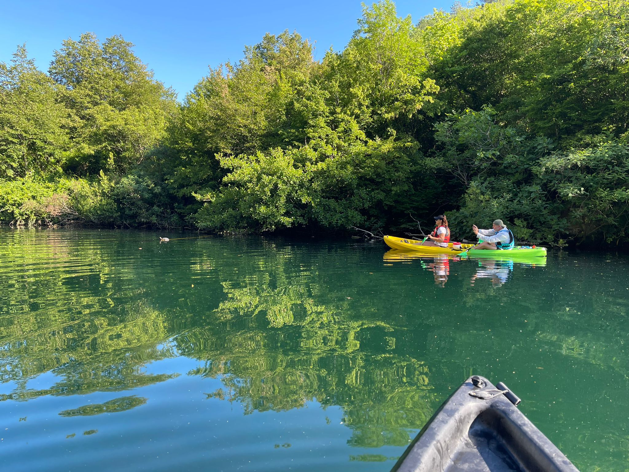 media_NJMUSZKKPFH7MXRS