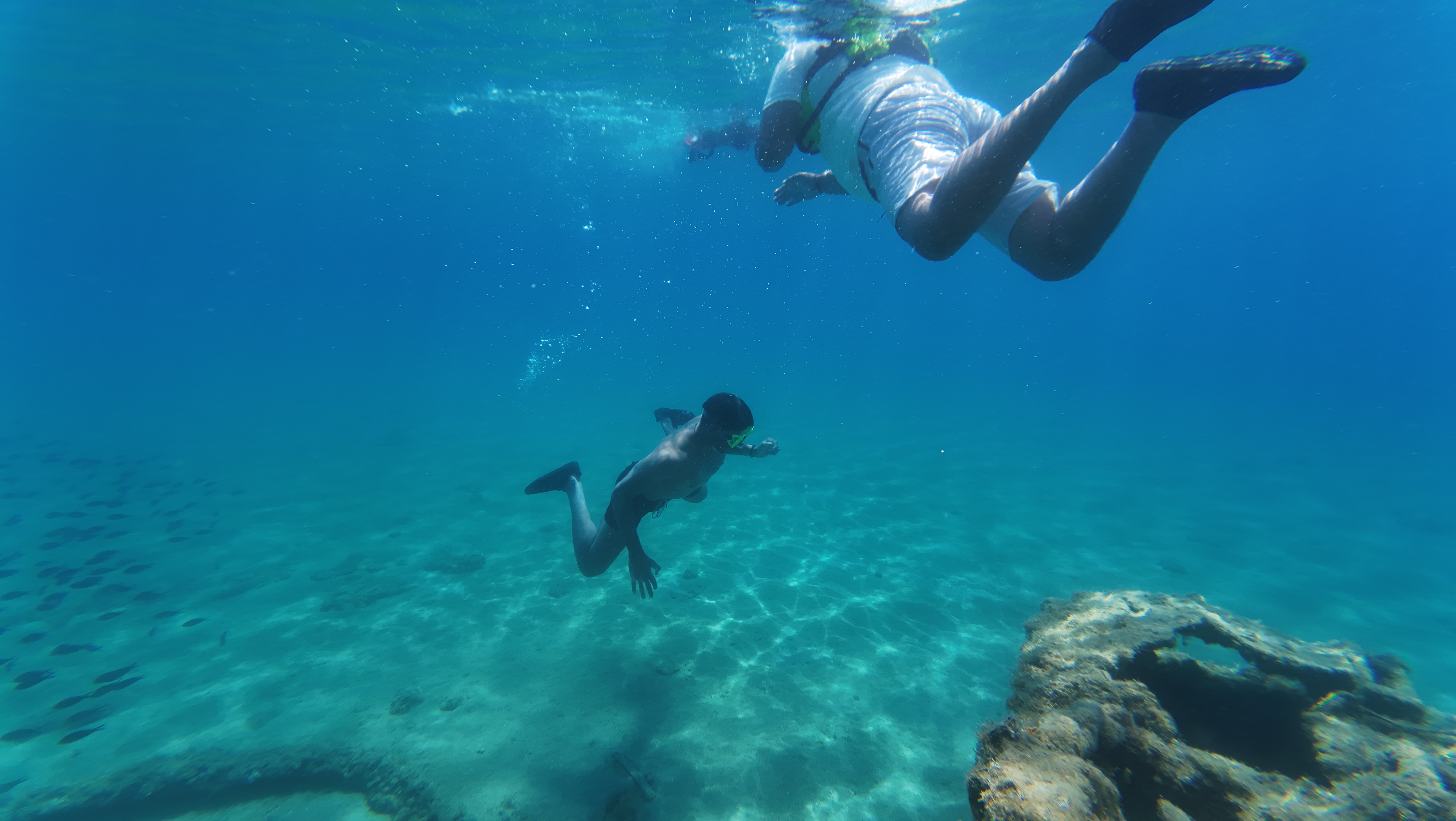 media_PQXELQ2YD7EQ3Z2G