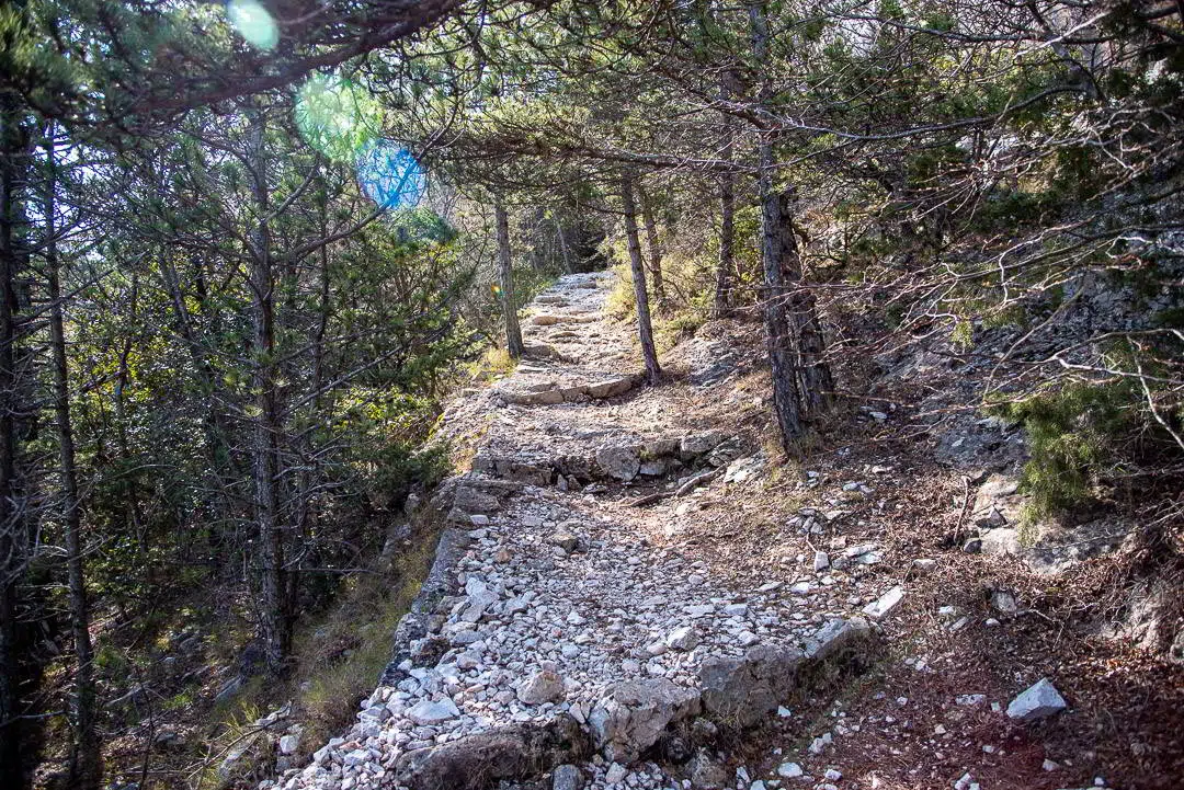 media_QK4DMTBX2BMMEFBX