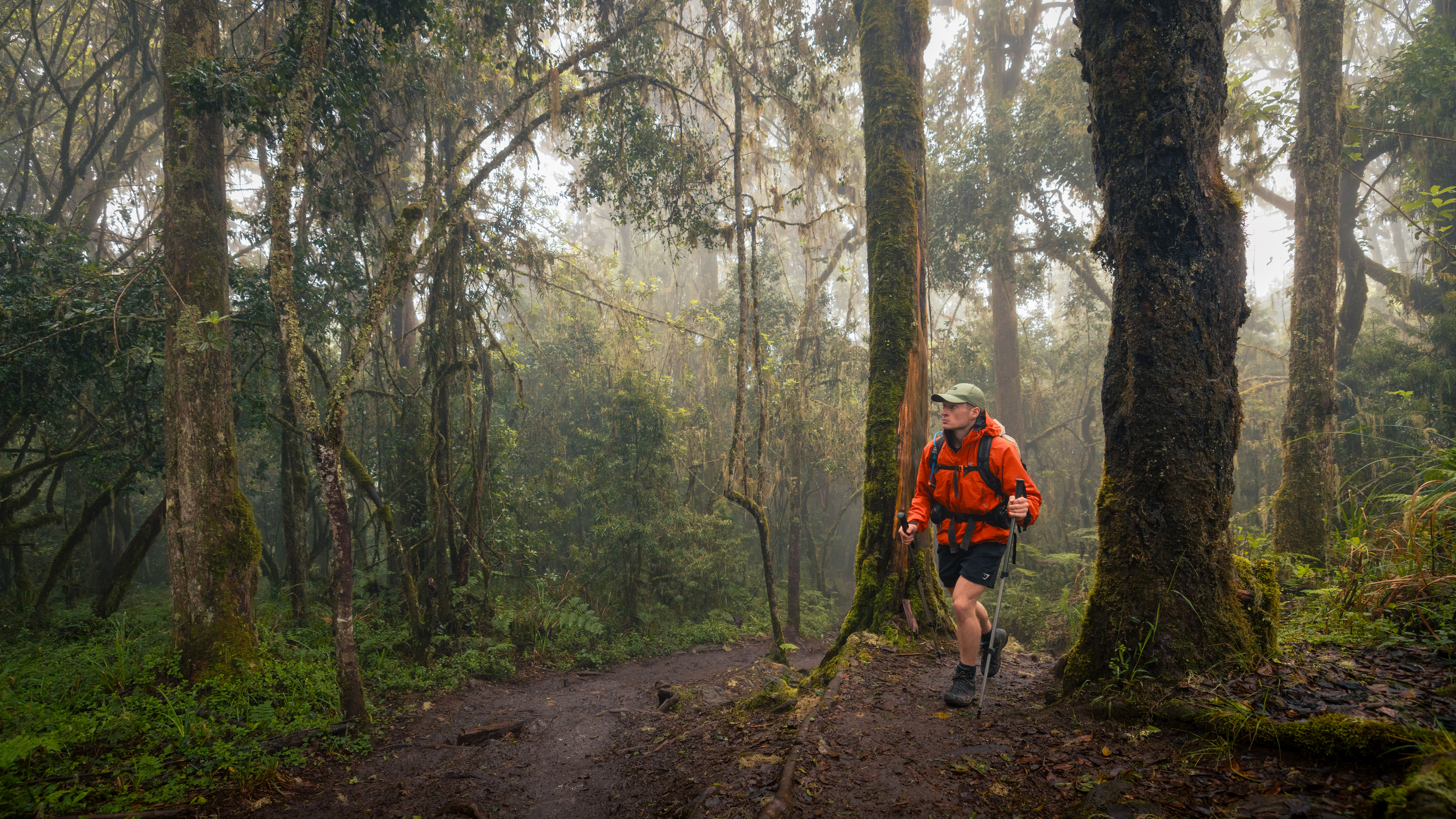 media_3KMU8JGZVKNYD3PH