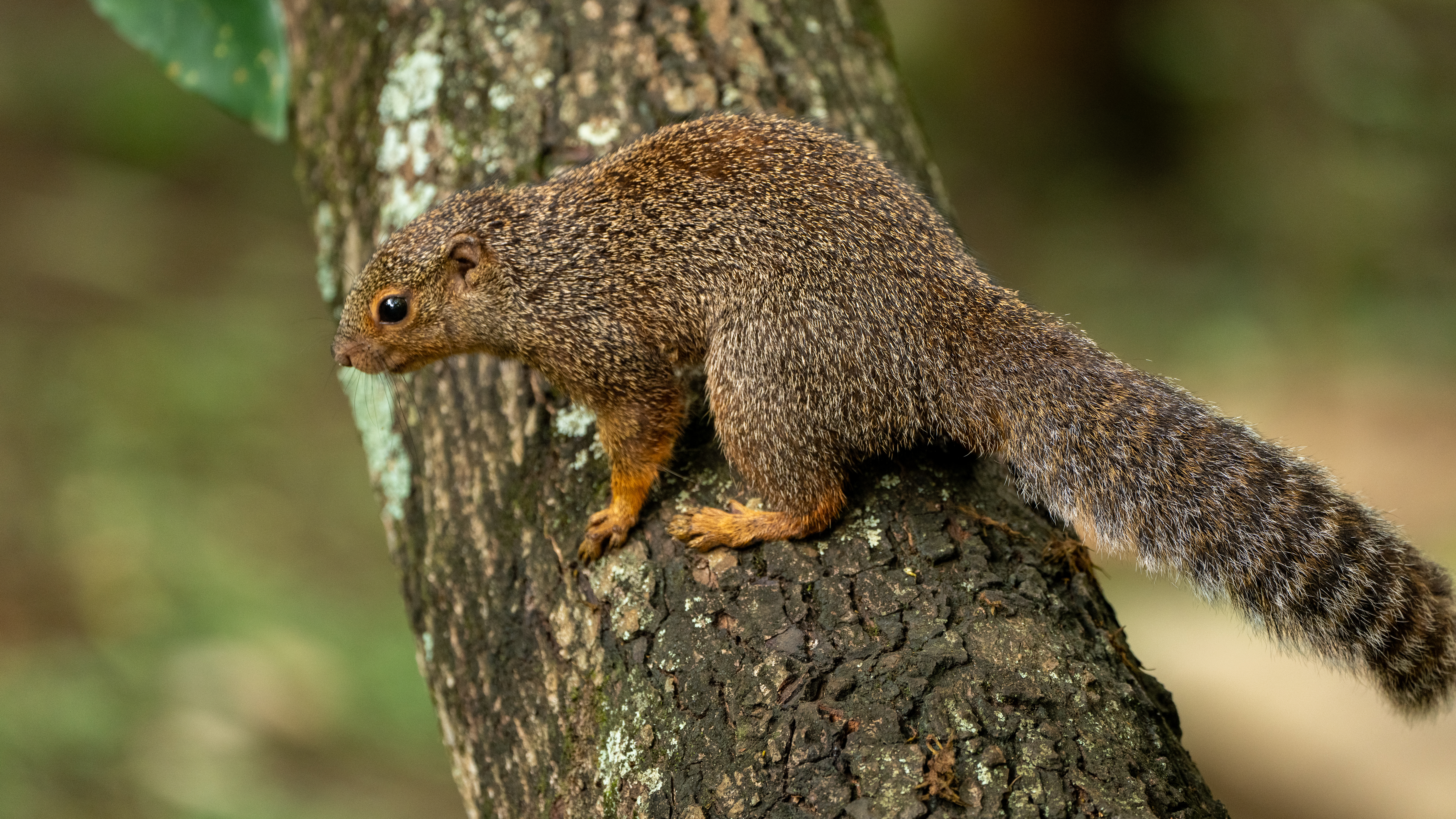 media_67L7XDE7UWFYM689