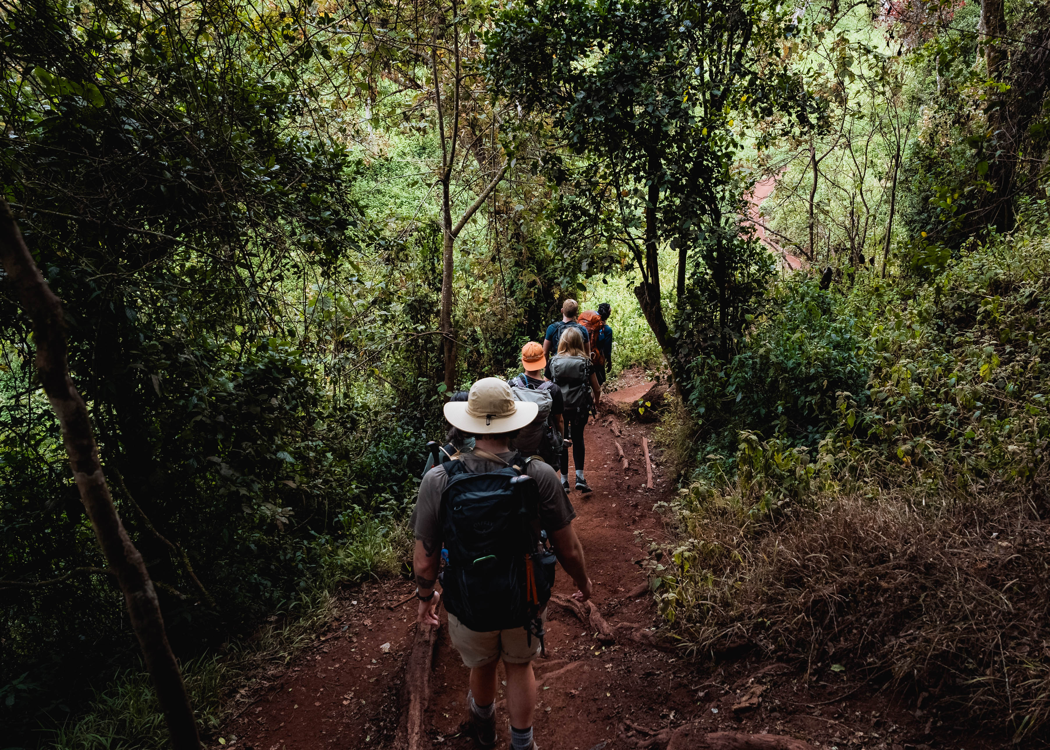 media_97KRGNE4UGPACRG8