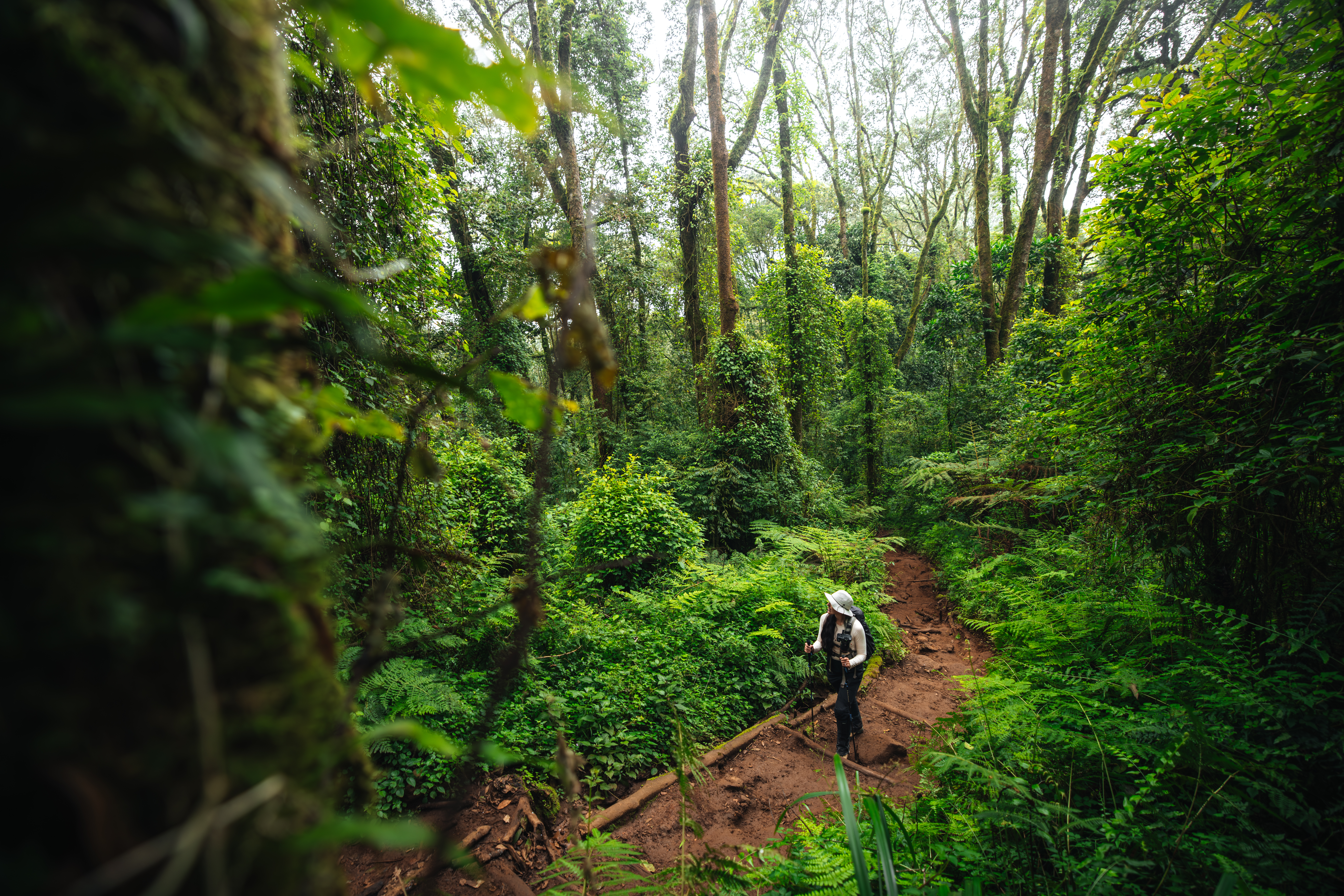 media_9LWVR42LVFFUC2DQ