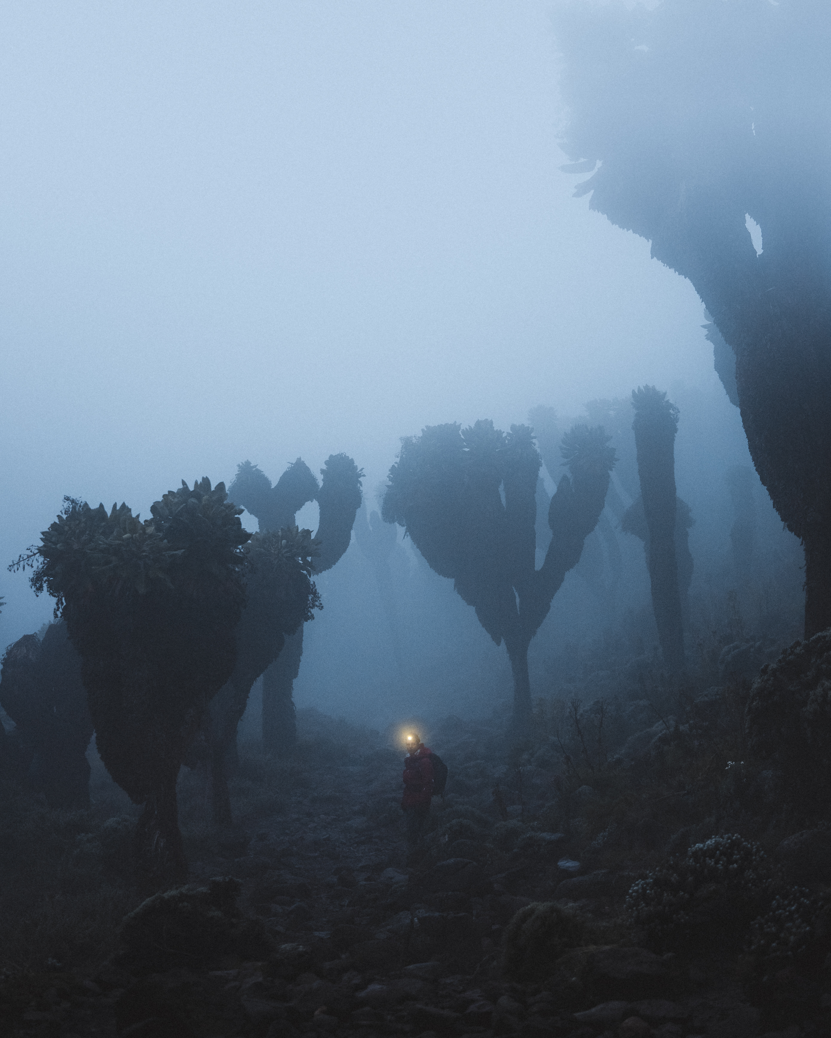 media_KP5G43FHCQLFZ5VL