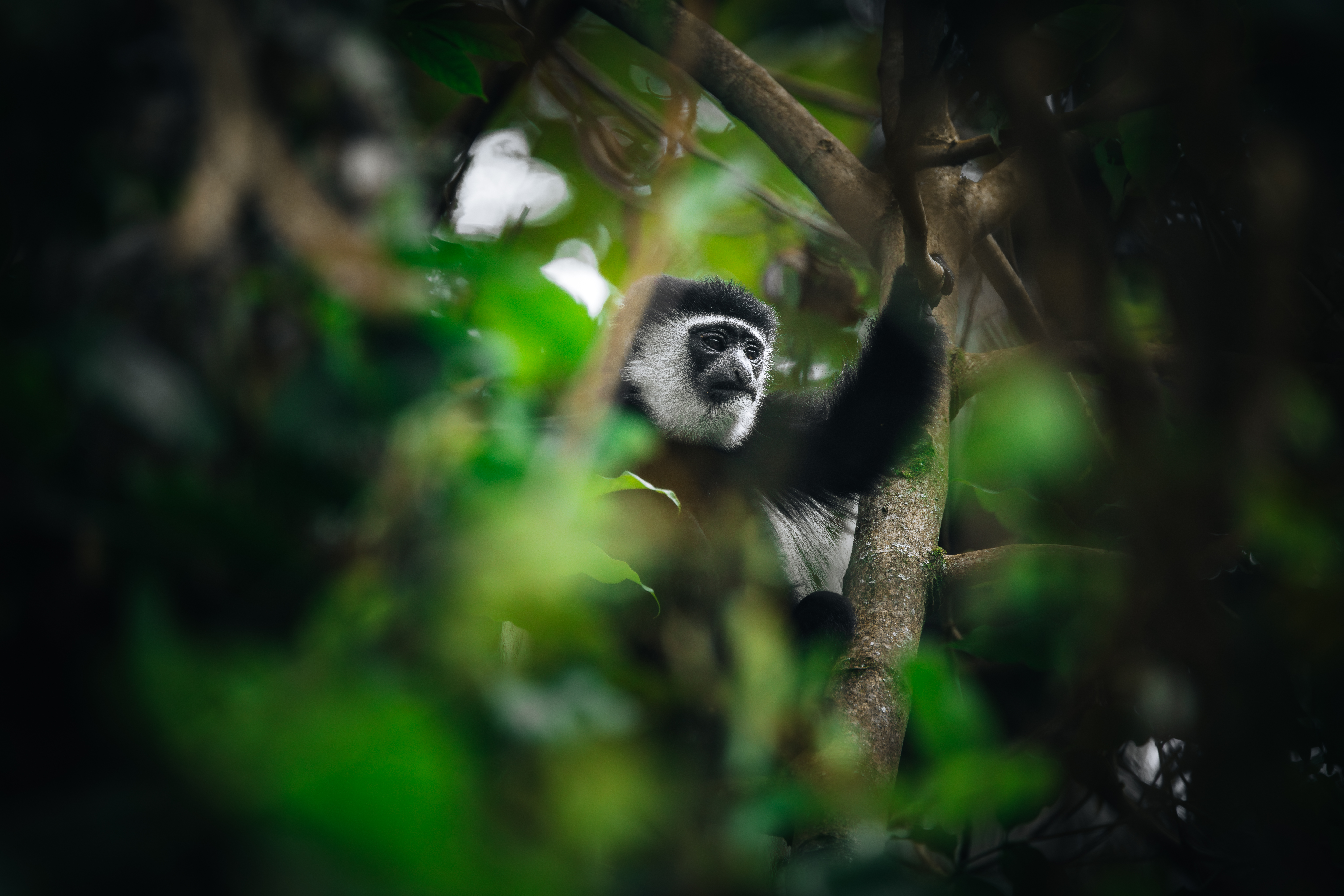 media_LK9P5RVWVXQ42BRR