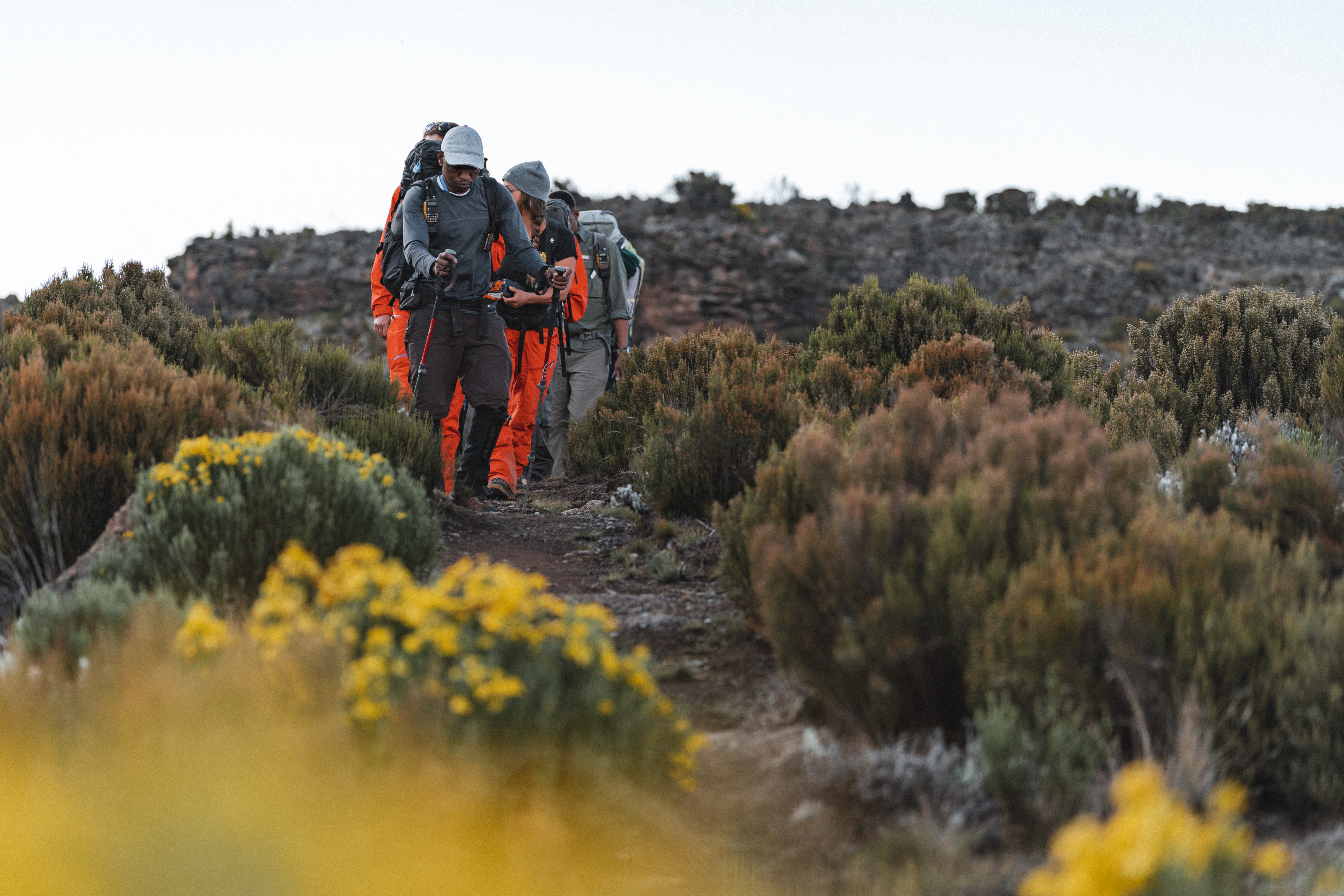 media_Q9E778GNSGTCDFDA