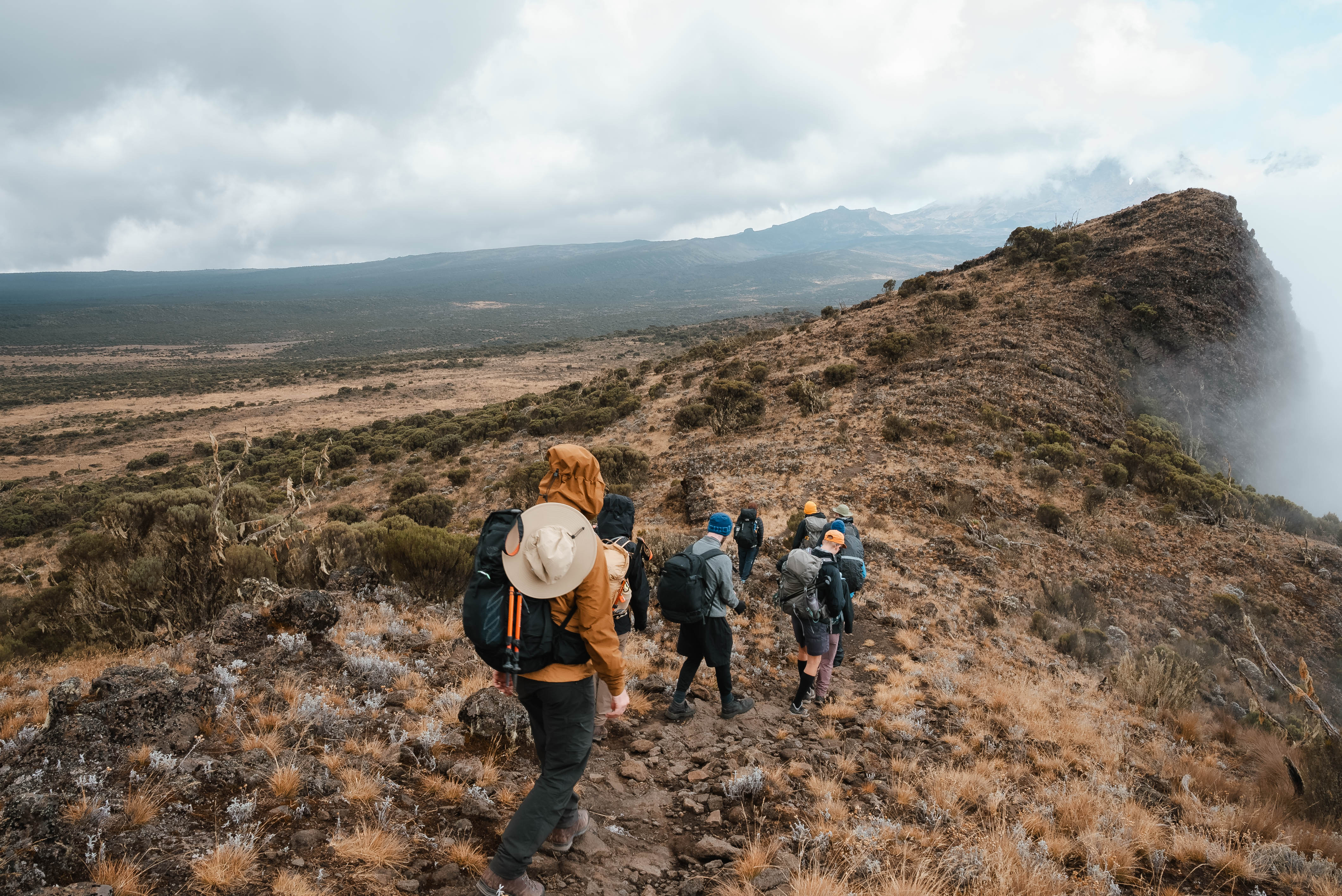 media_SJJVZUTP7HADVPRN