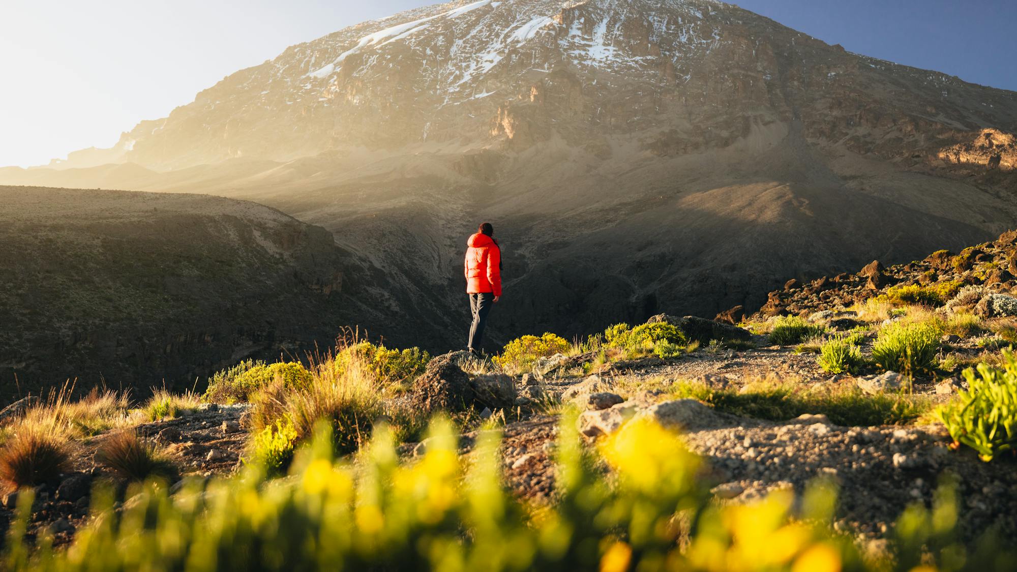 Climb Mt Kilimanjaro via Machame Route (7-Days)