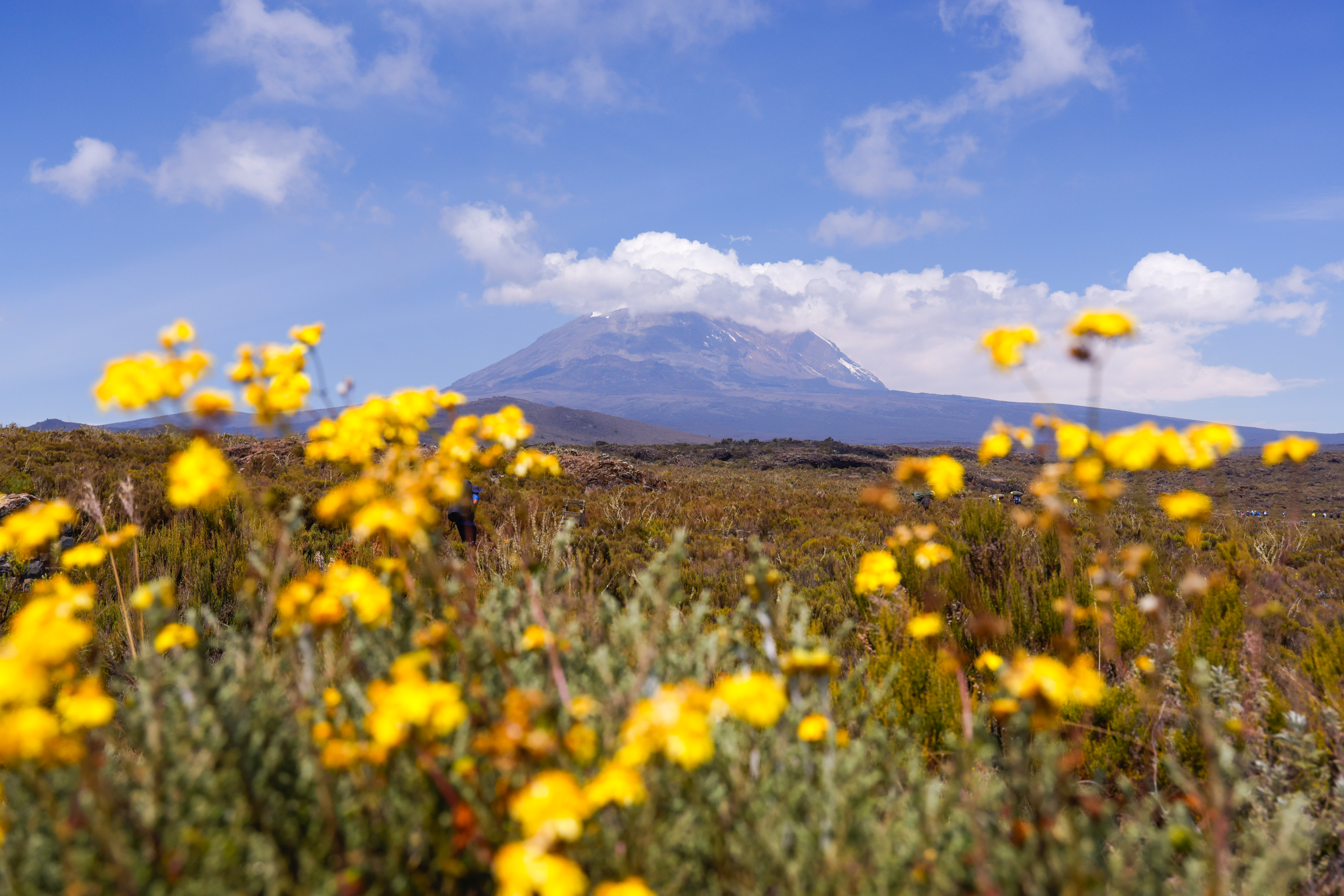 media_VC56GZ47QNVA4MJA