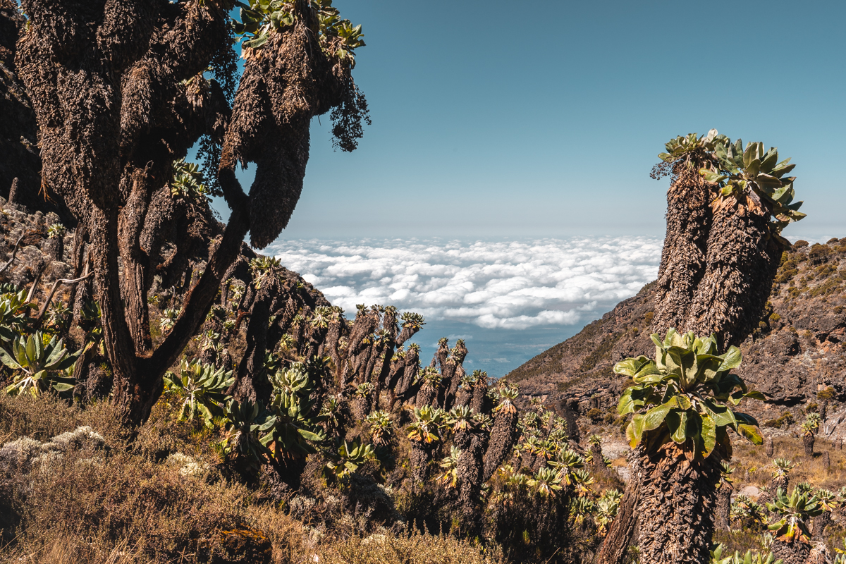 media_VH534KYGWZTKW5UQ