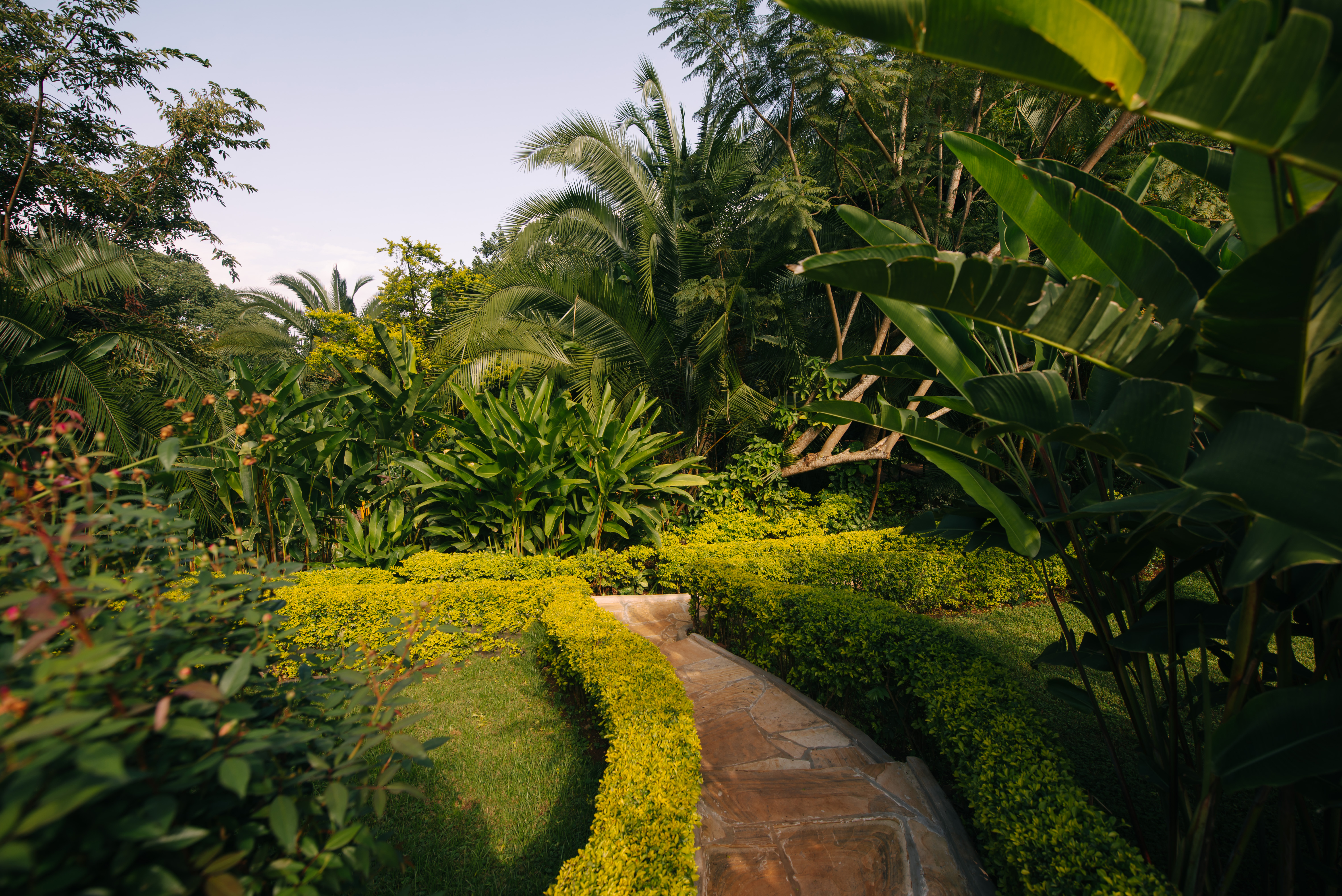 media_W8GB6NN3NUYHAH9Q