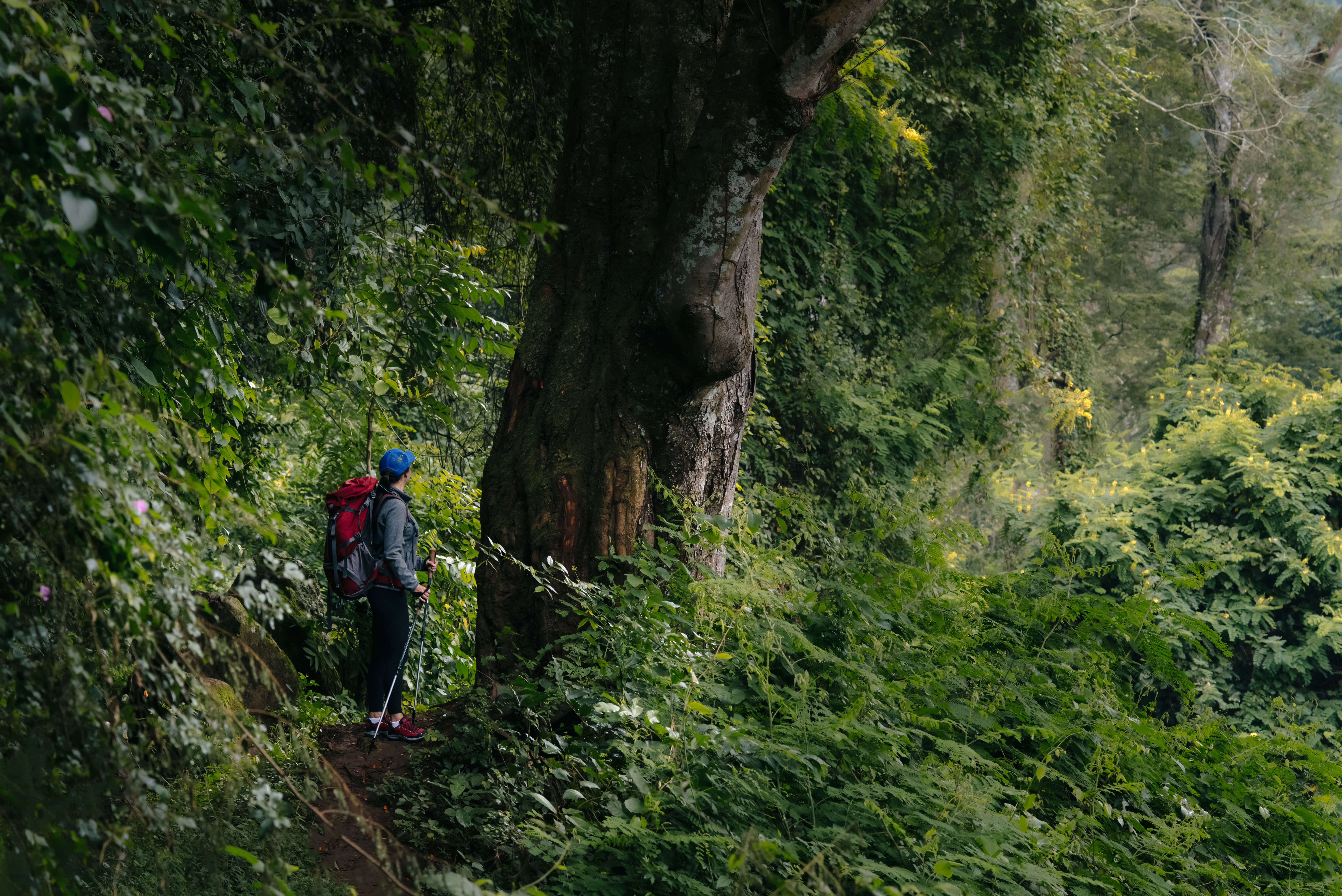 media_Z6JDV8L8EL2R5WCA