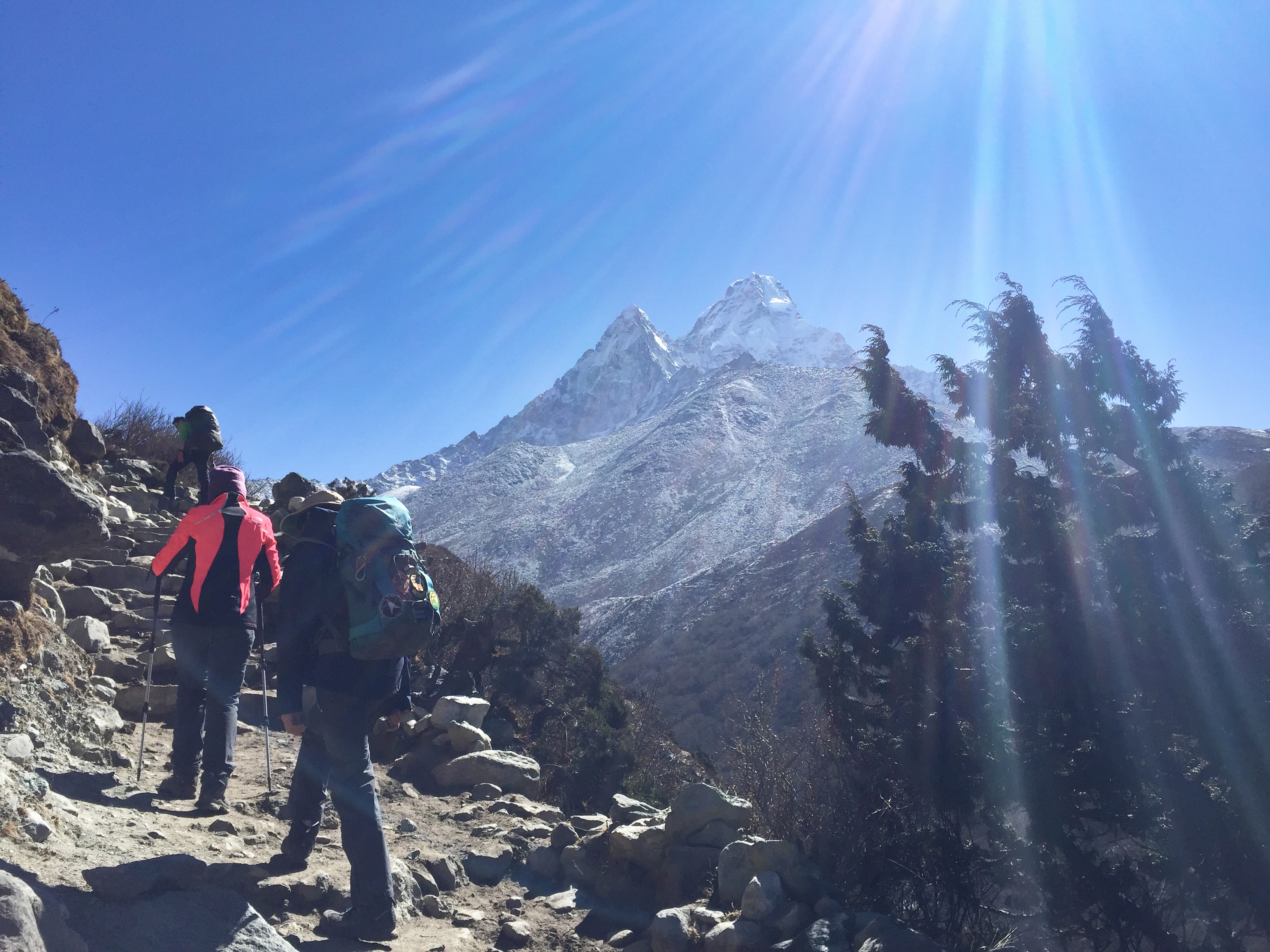 media_5CR2LAVYR3ZNM23P