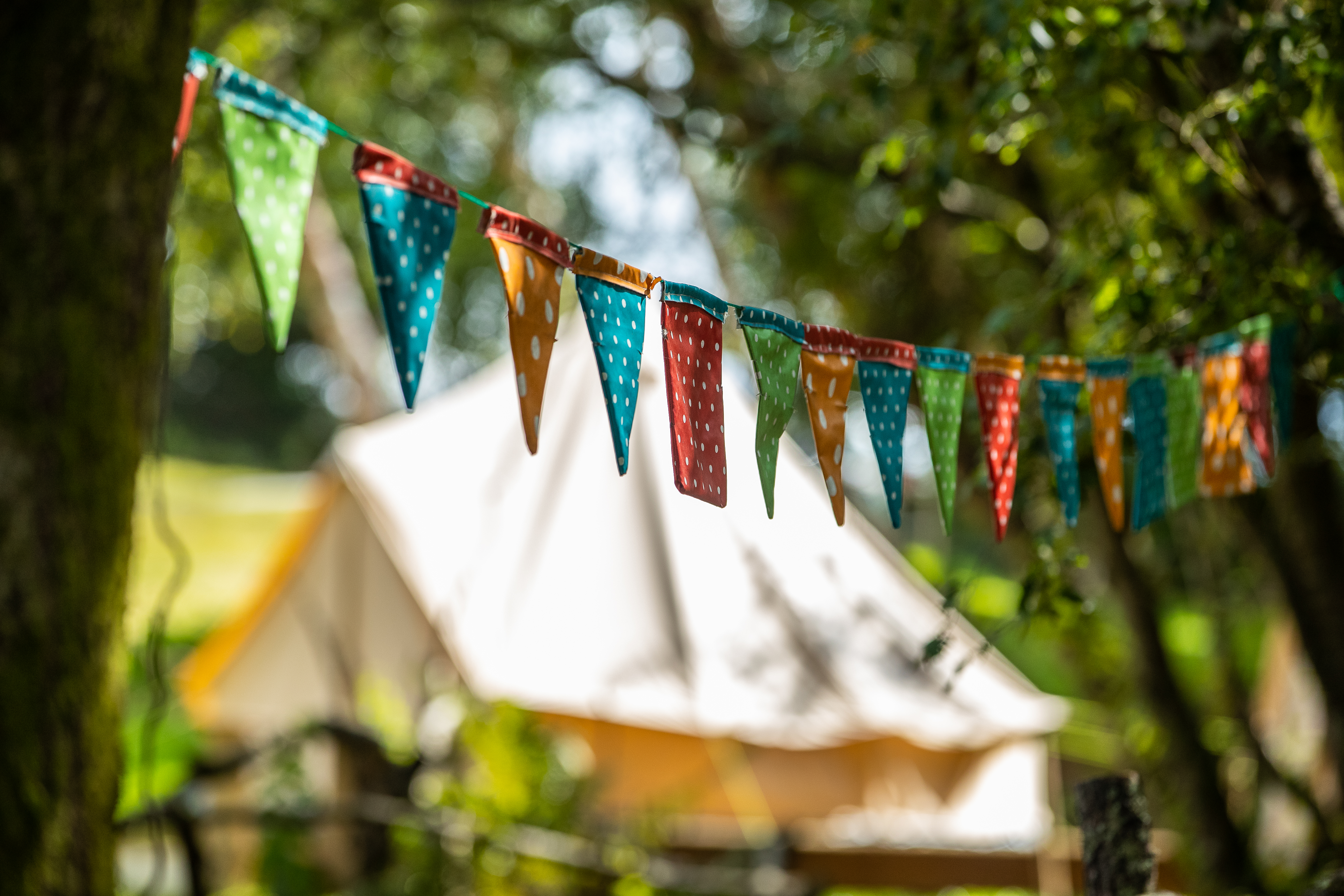 media_2FJSC88ZYZW7WGD5