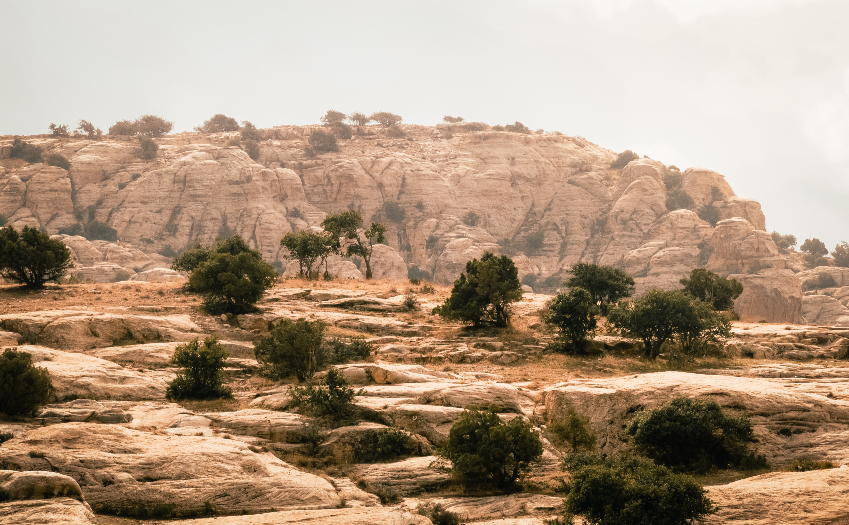 media_3U6NFZ5TX8ZR7Q2E