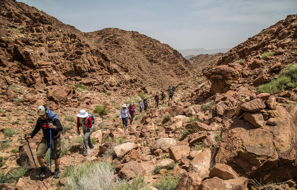 media_DNEXR5PZV8KUK6UG