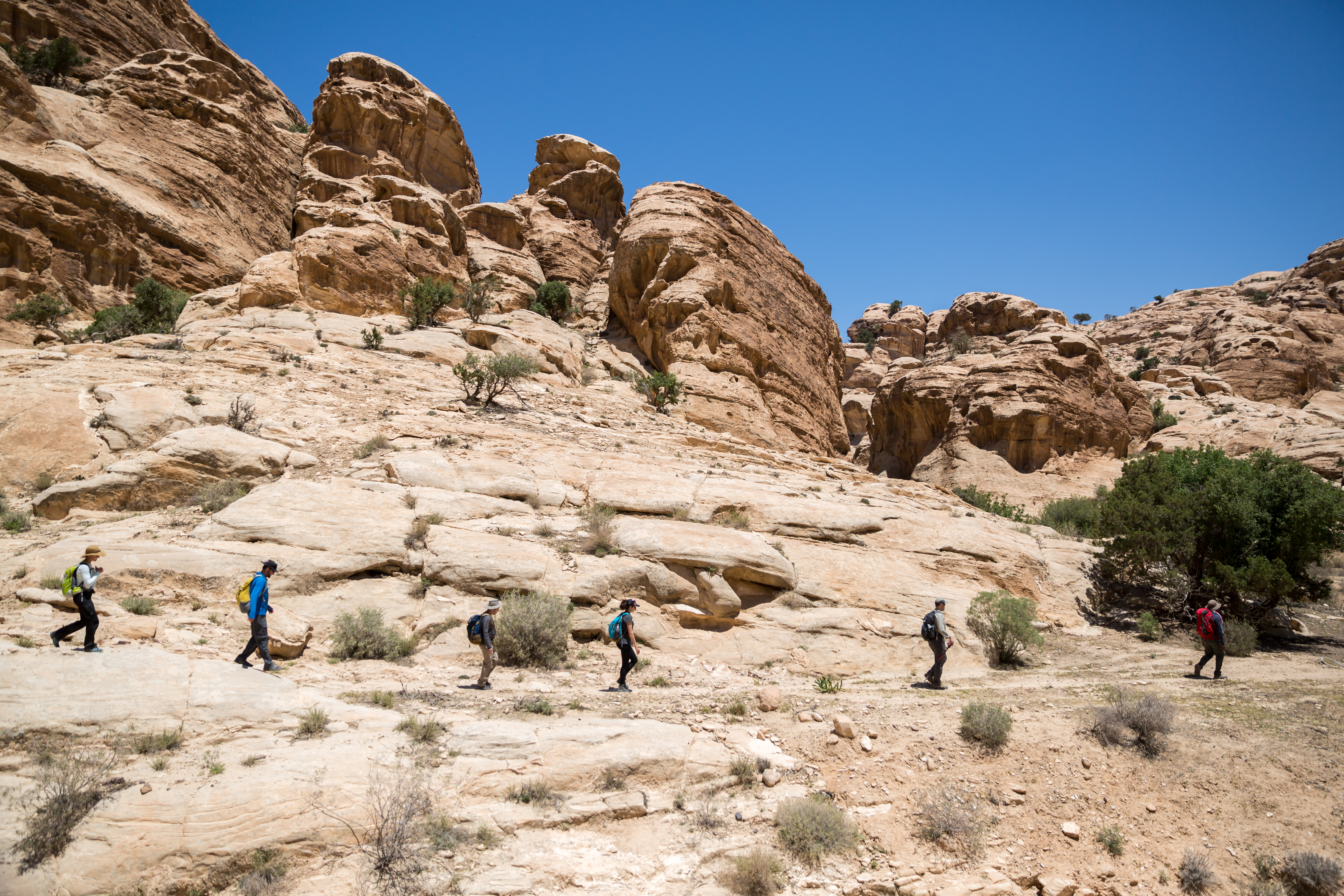 media_M6FPCKU6VA3VQYXT