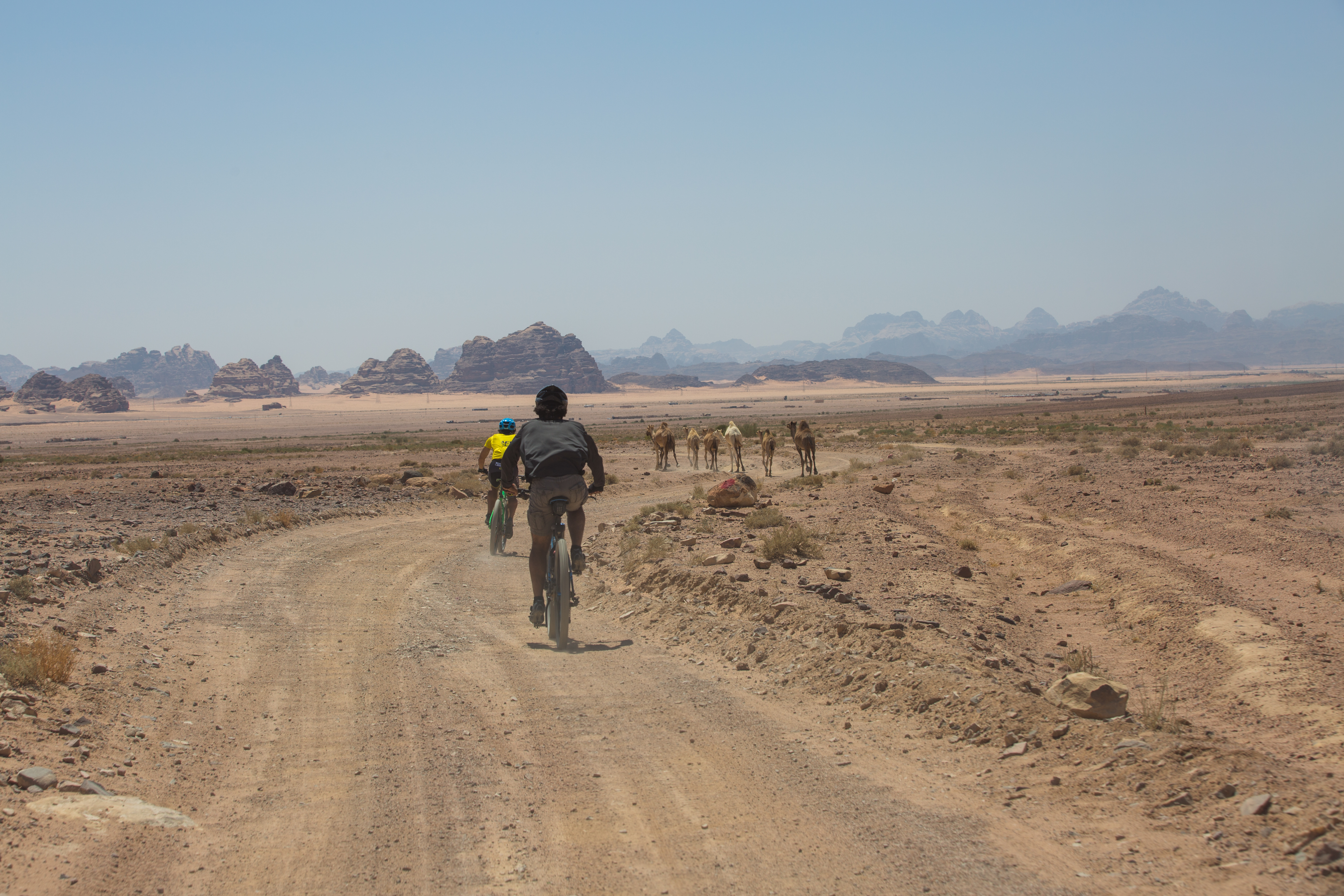 media_S4ANF58V5XN5N8WG