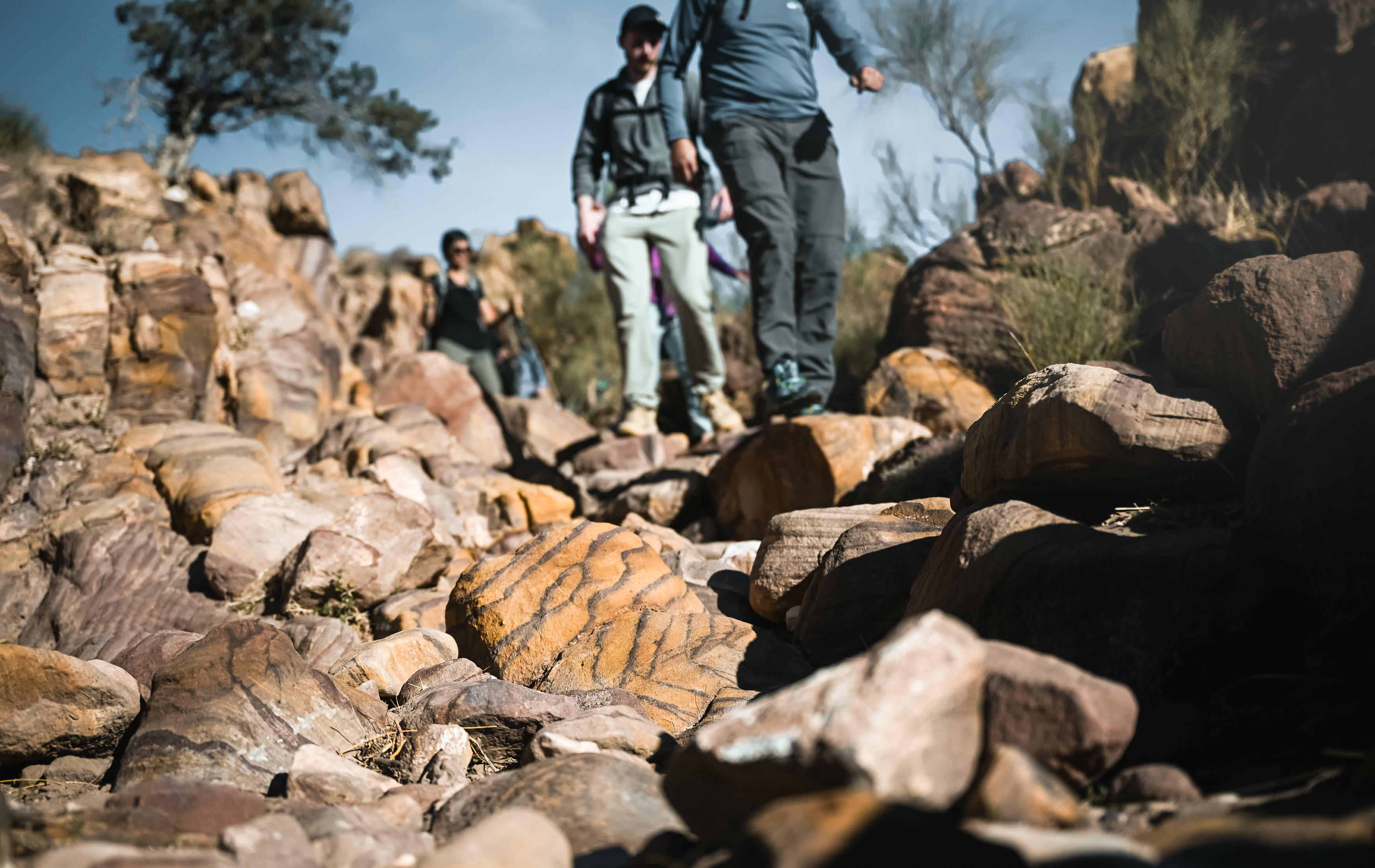 media_ZPVAKSZD5ZJAX698