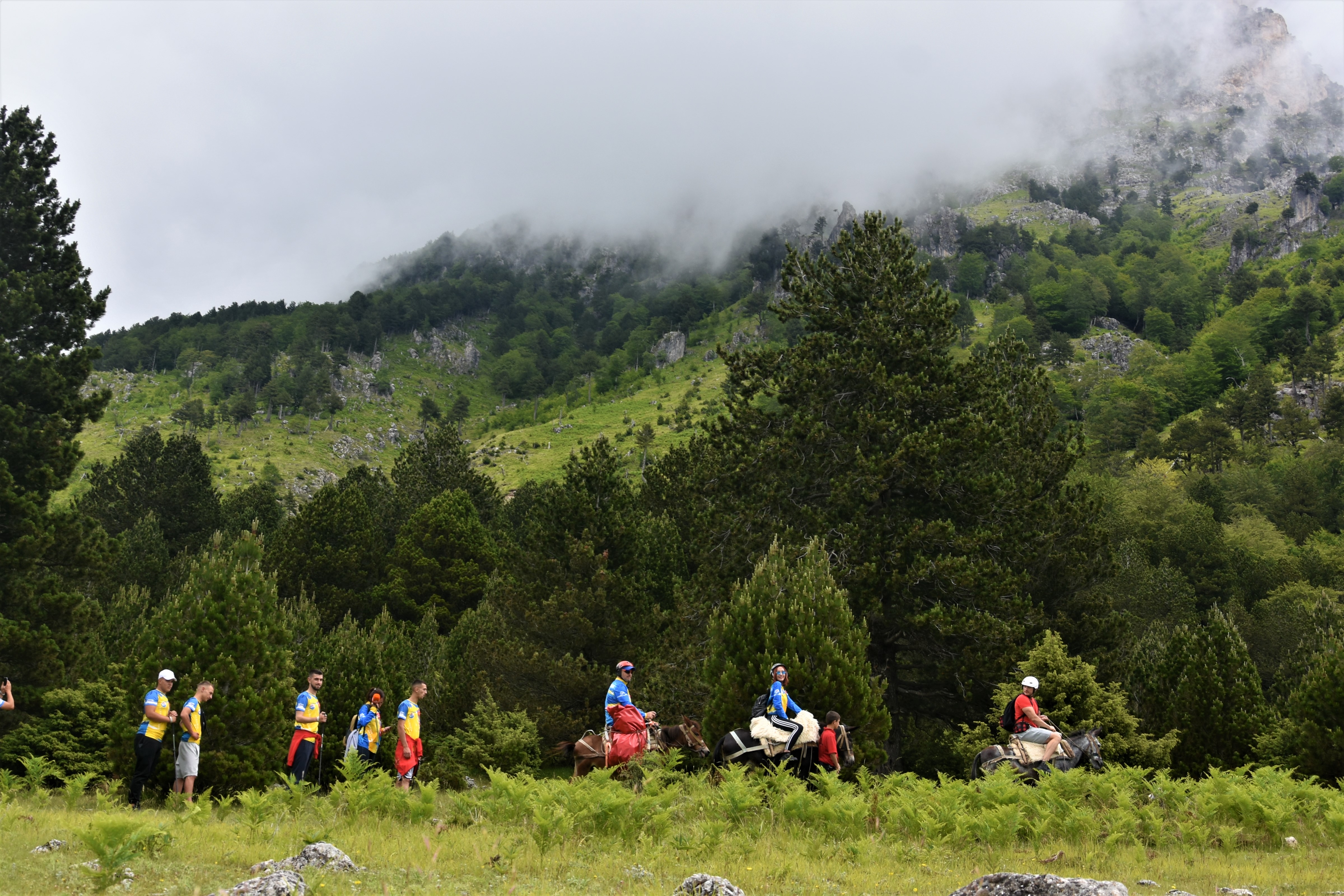 media_3BERMYJTRRHRYER2