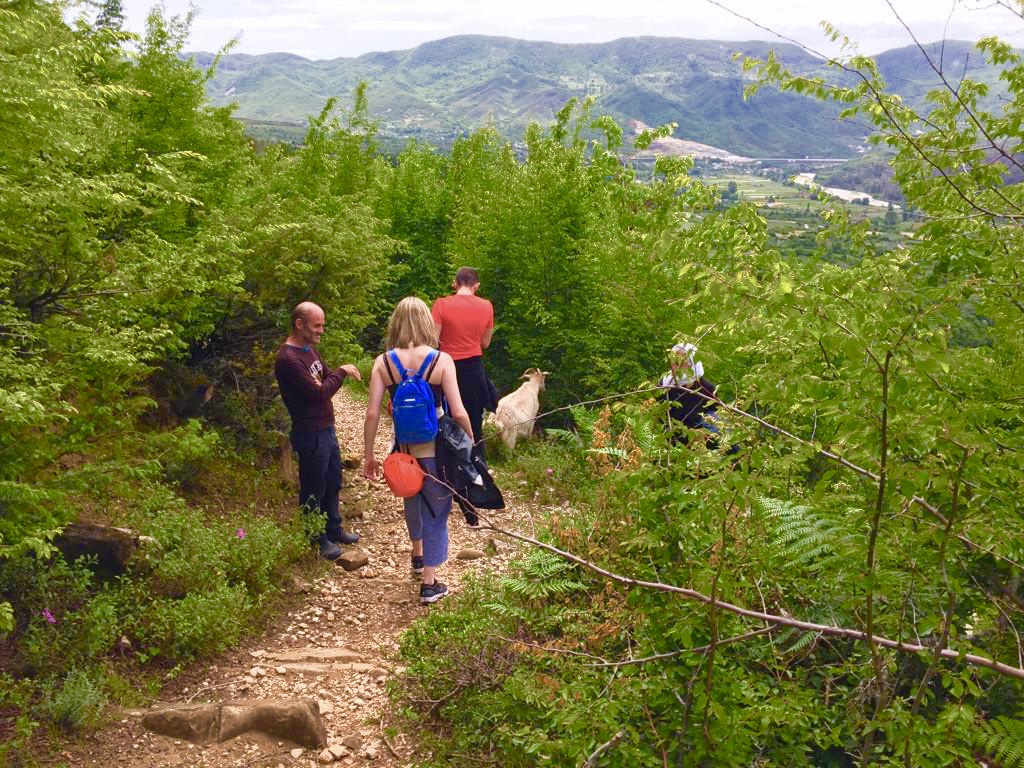 media_8CVZCNZAM75EW62Z