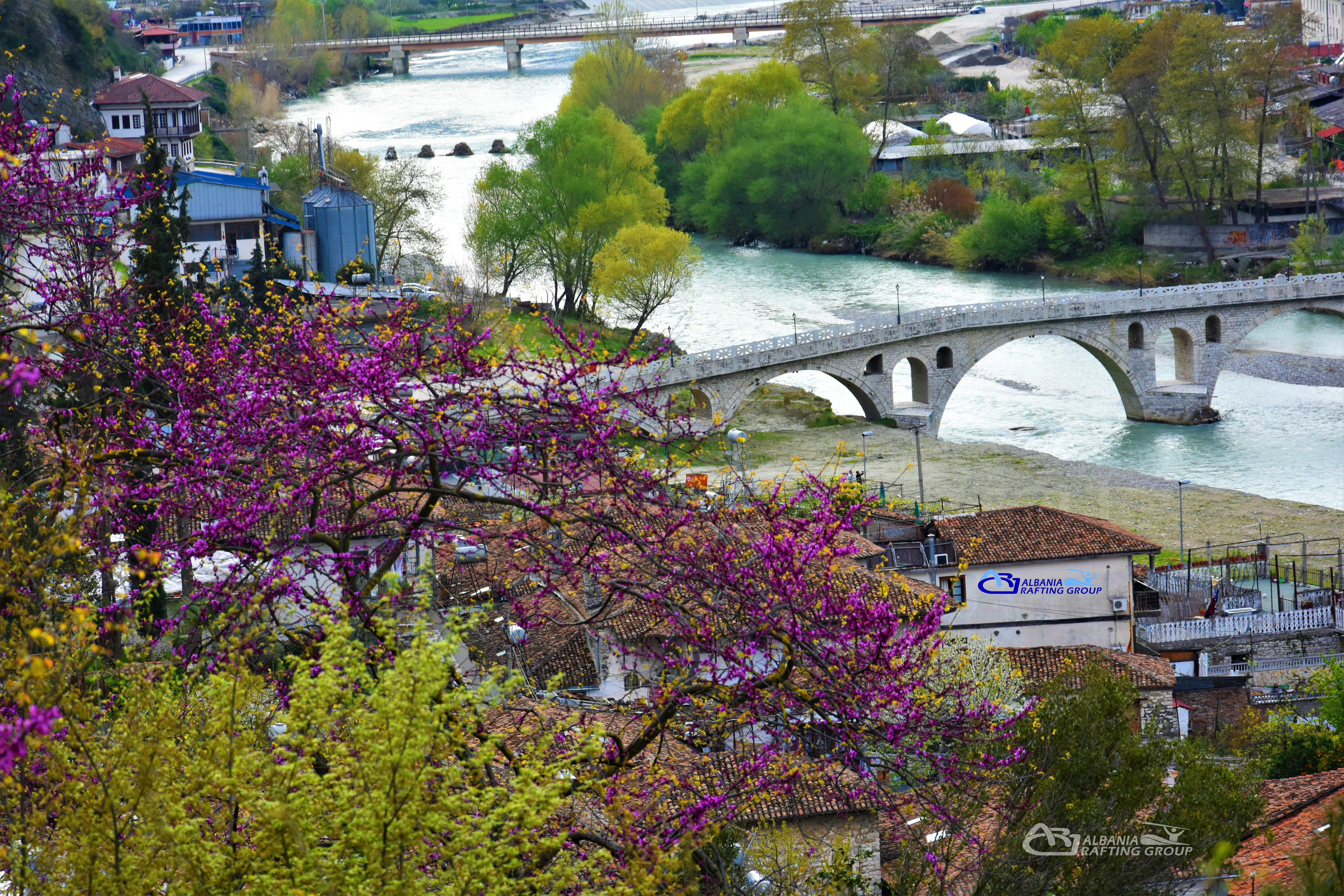 media_DRKDCASKVQYAZWU8