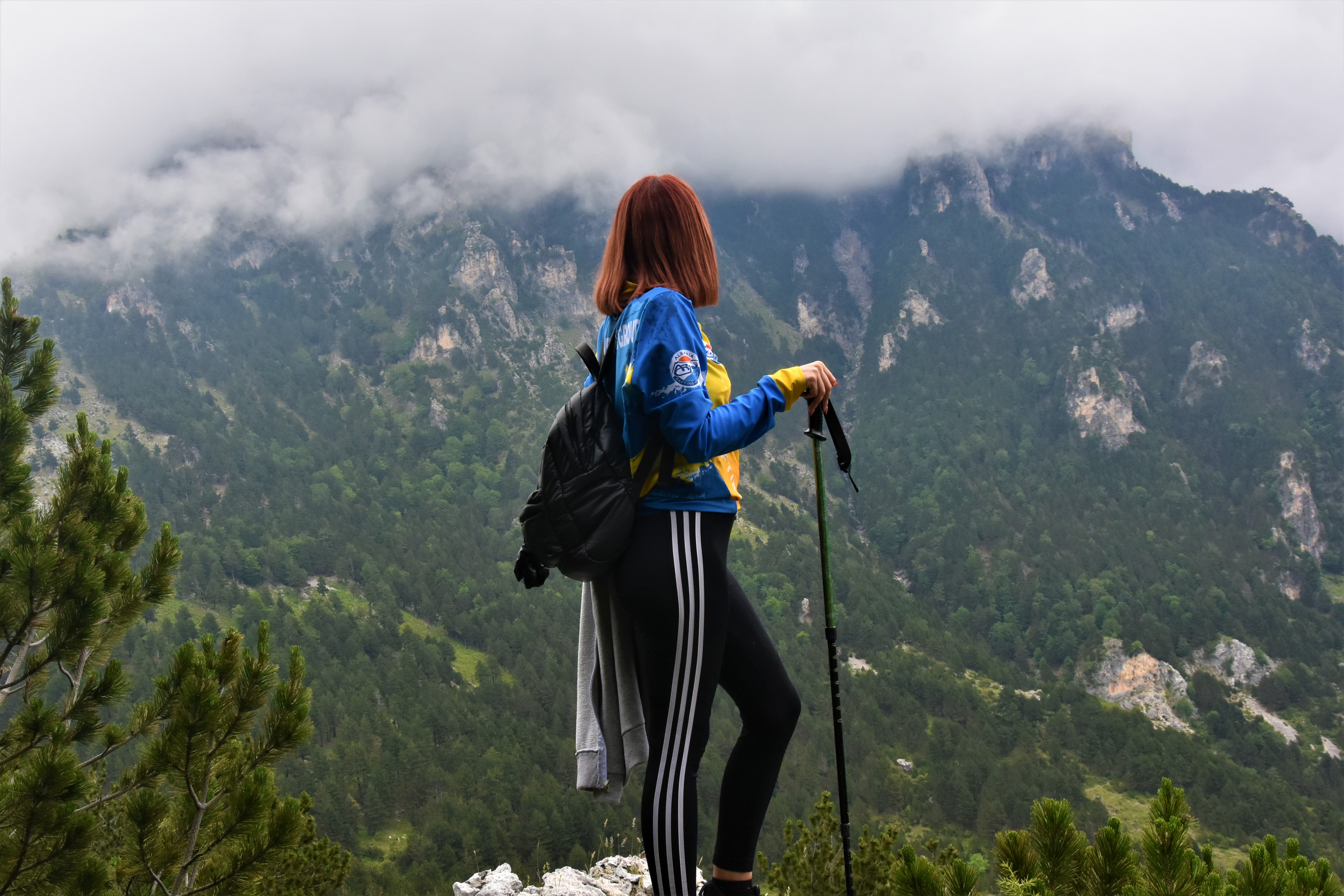 media_EFZ2FL86Y7KPHKYV