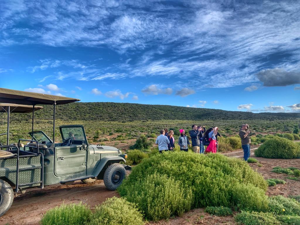 Garden Route & Addo Elephant Park Adventure