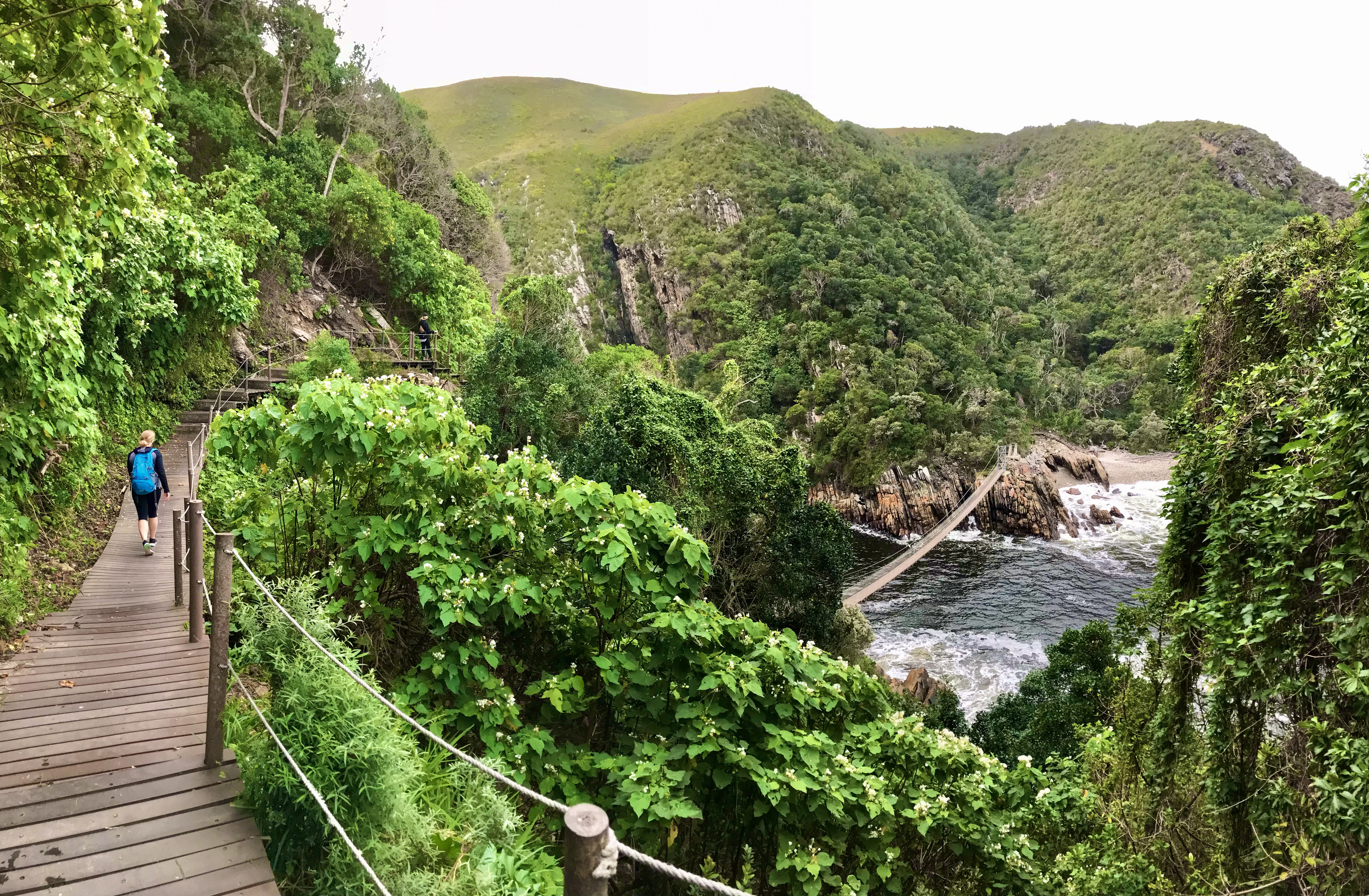 media_75L6HEPGLH5YN7XX