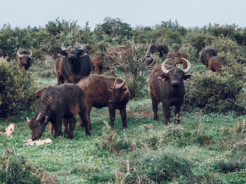 media_DZ5FEVLEMANKPPH8