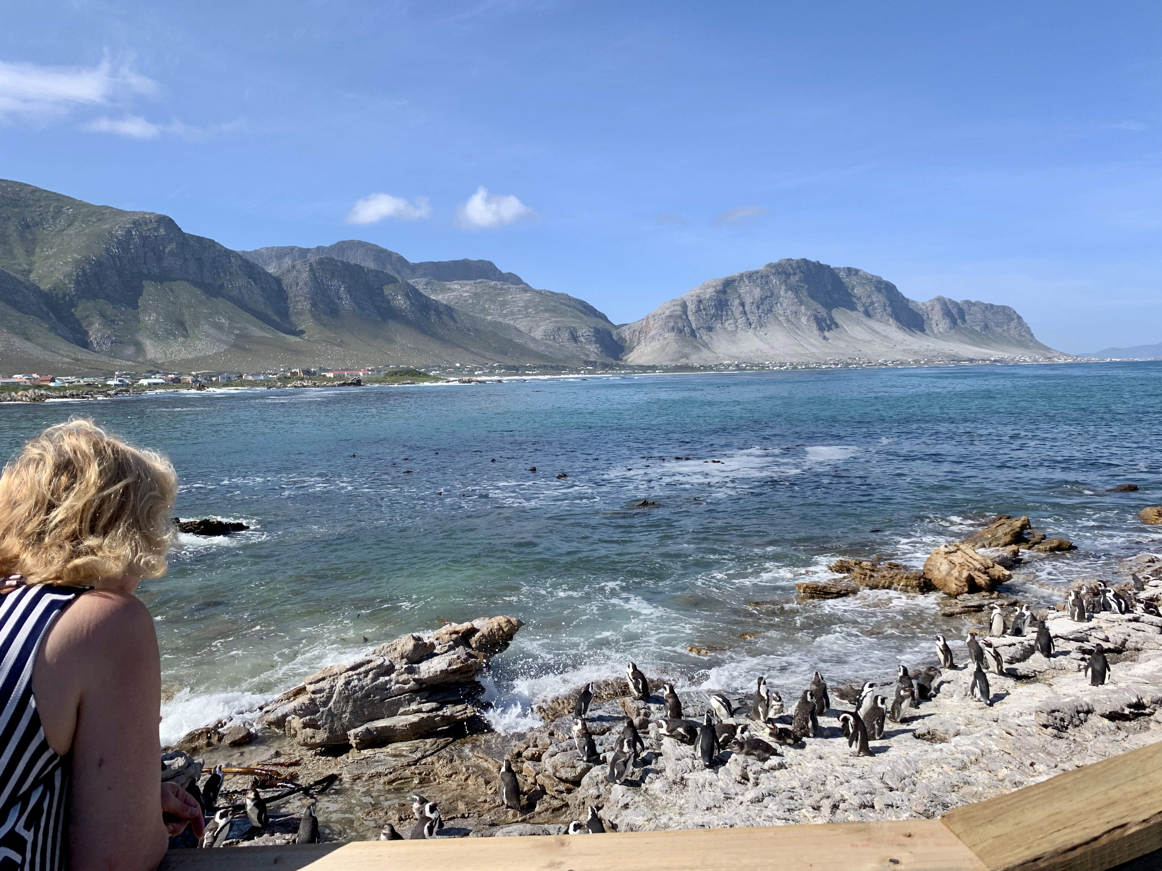 media_GHA77ZDLH3GZ7W5F