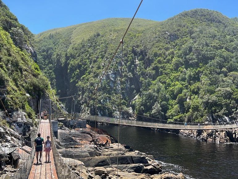 media_LZG52SR5MHT96BM8