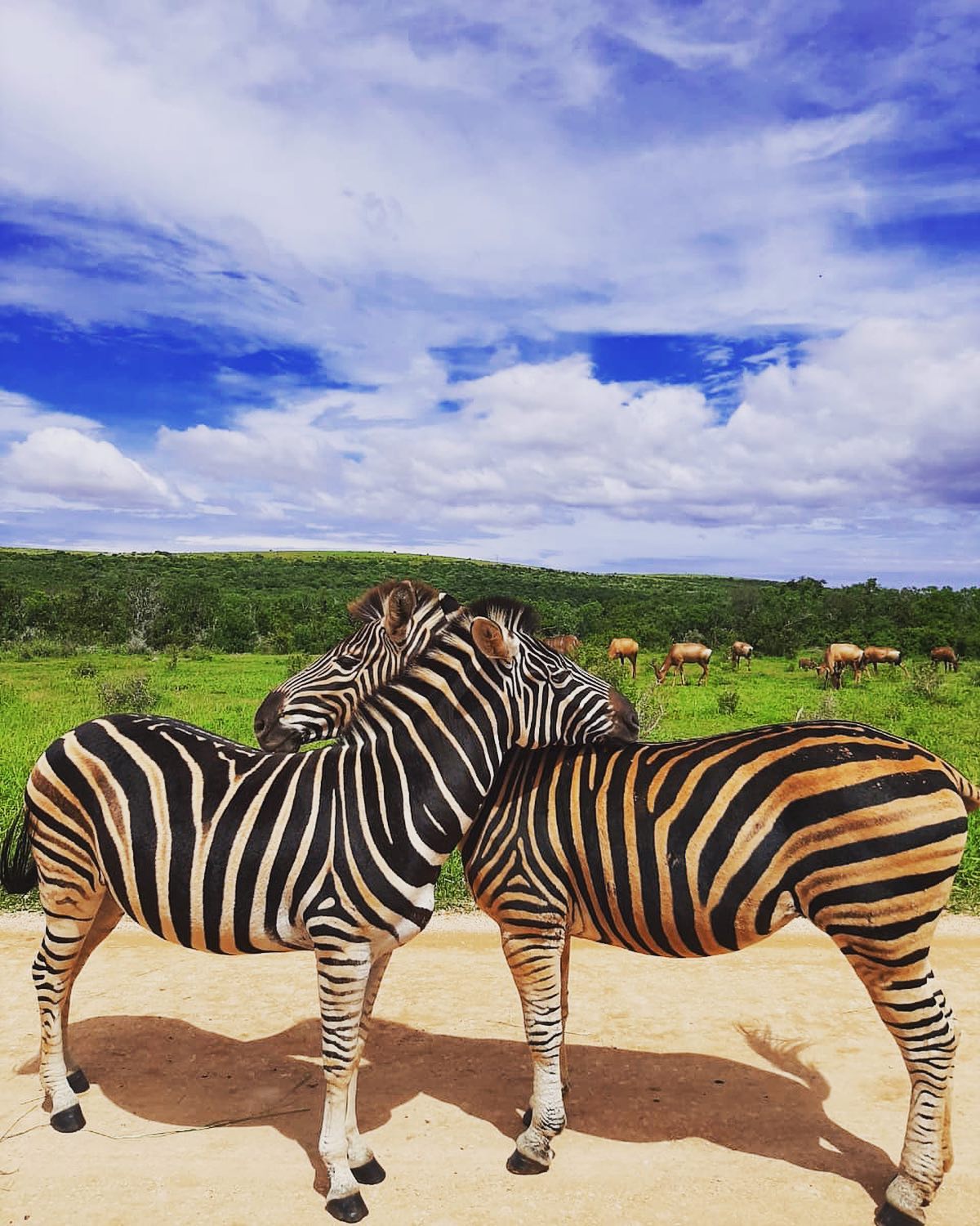 media_NB24QMGY9XFWDJM4