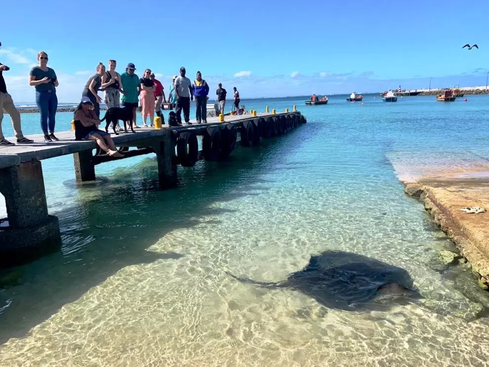 media_NGFQ4V2VGM9WQMJY