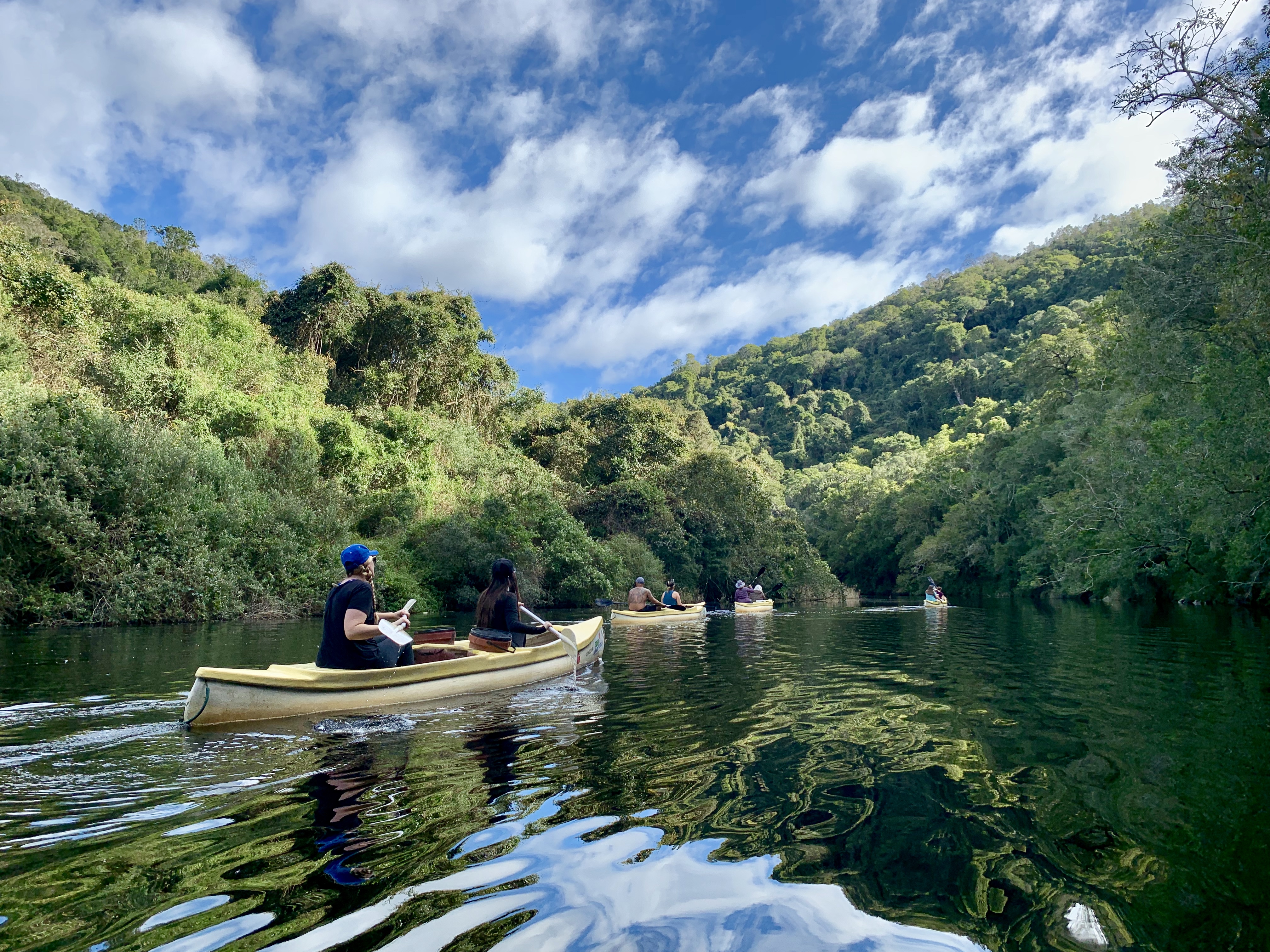 media_PSUTKANRFU48L9HQ