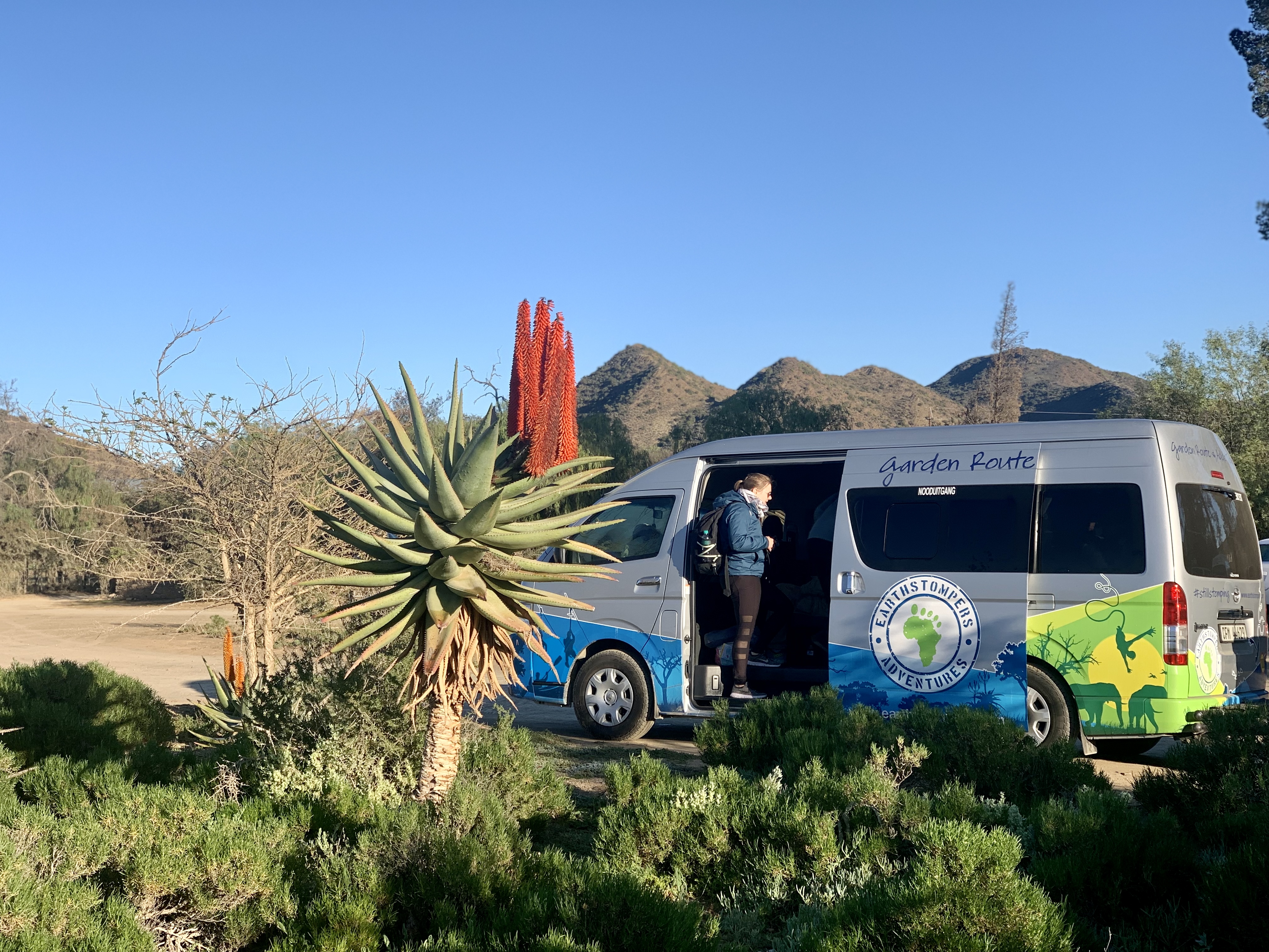 media_YF9GTEXM9XLDVY2Z