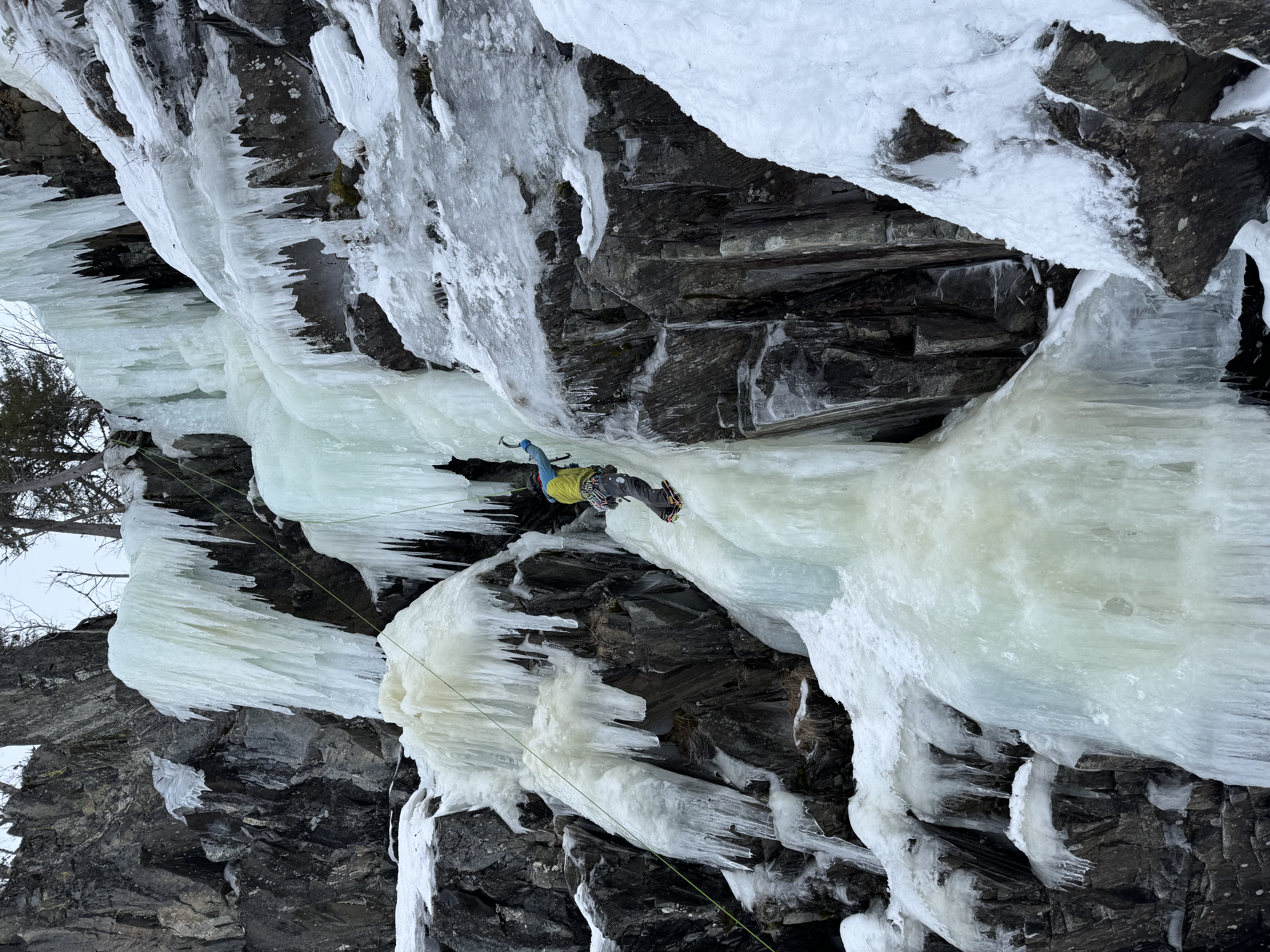 media_6LVRWLWFVEBLQF89