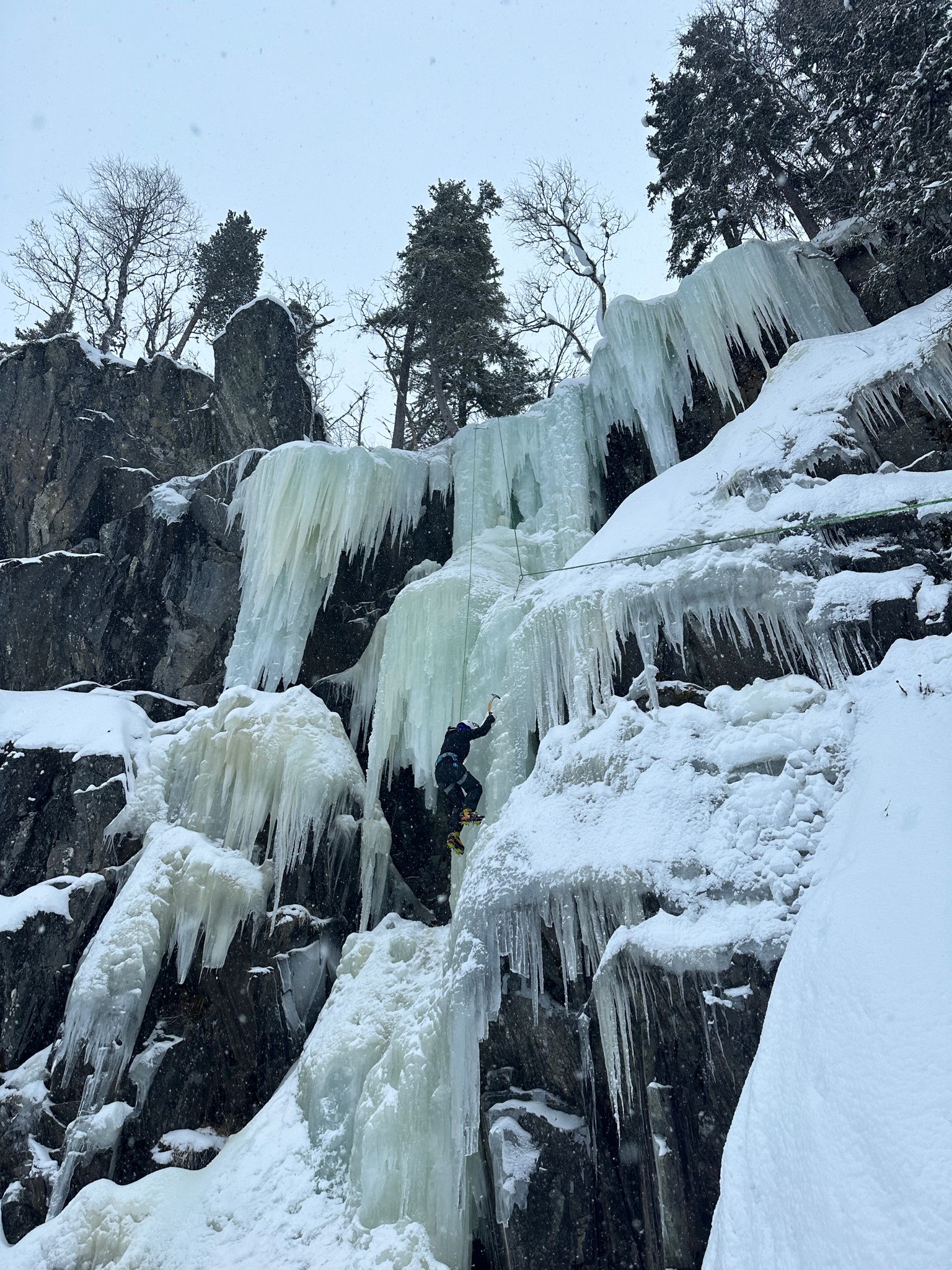 media_8SS9CQDUR6GHP7A6