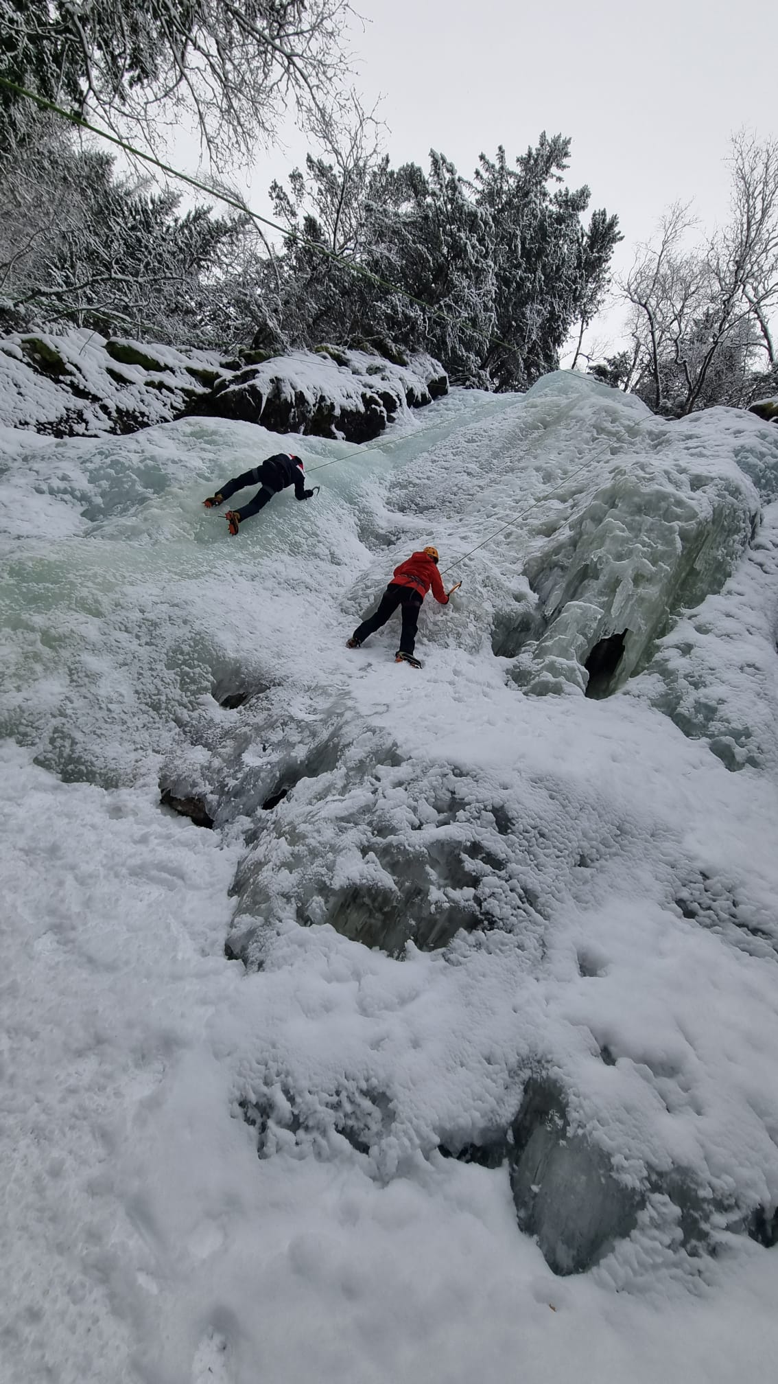 media_9M4MYKRUV5PDEDDC