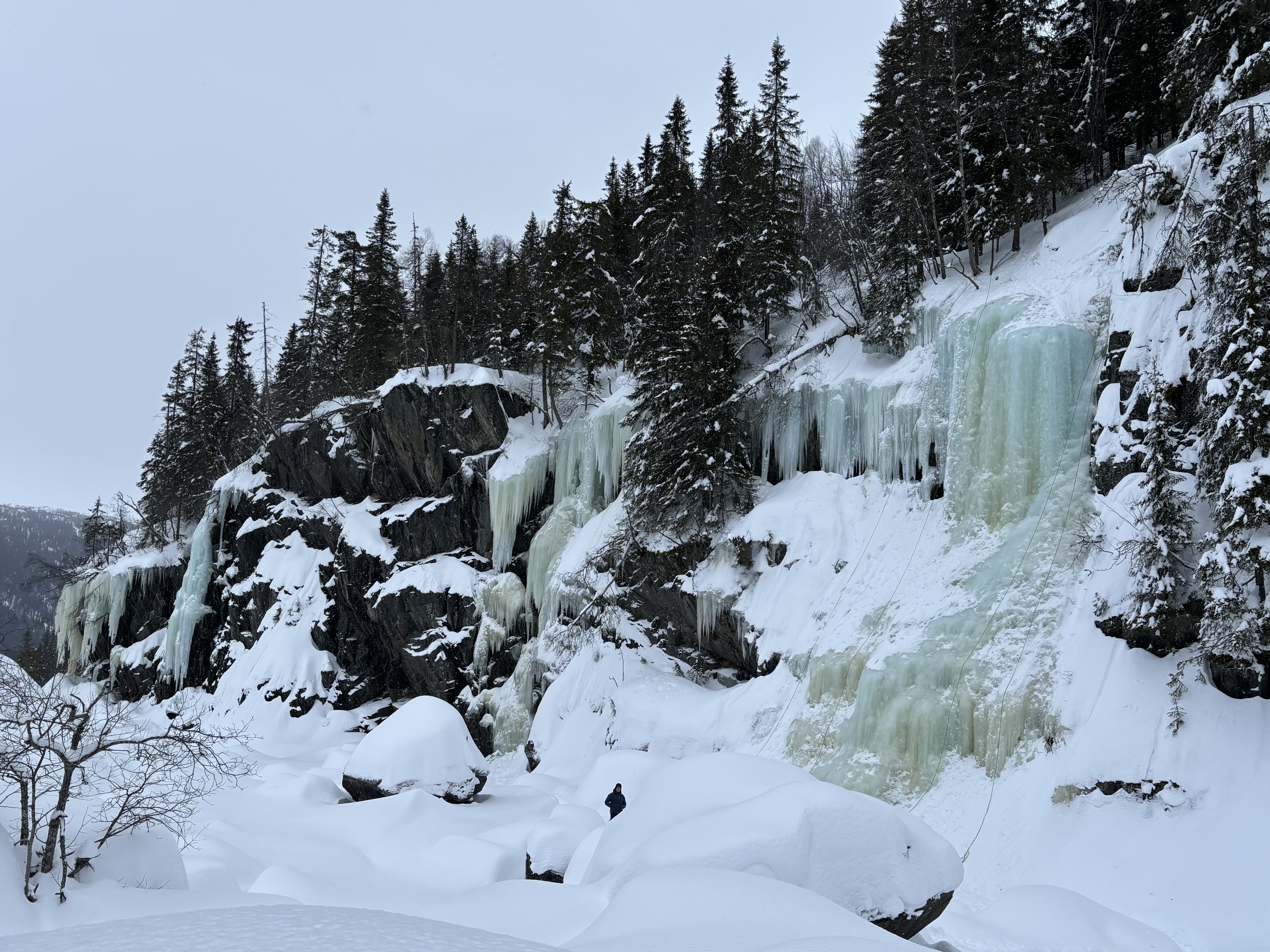 media_BLPJZ5Q4TWMURPGX