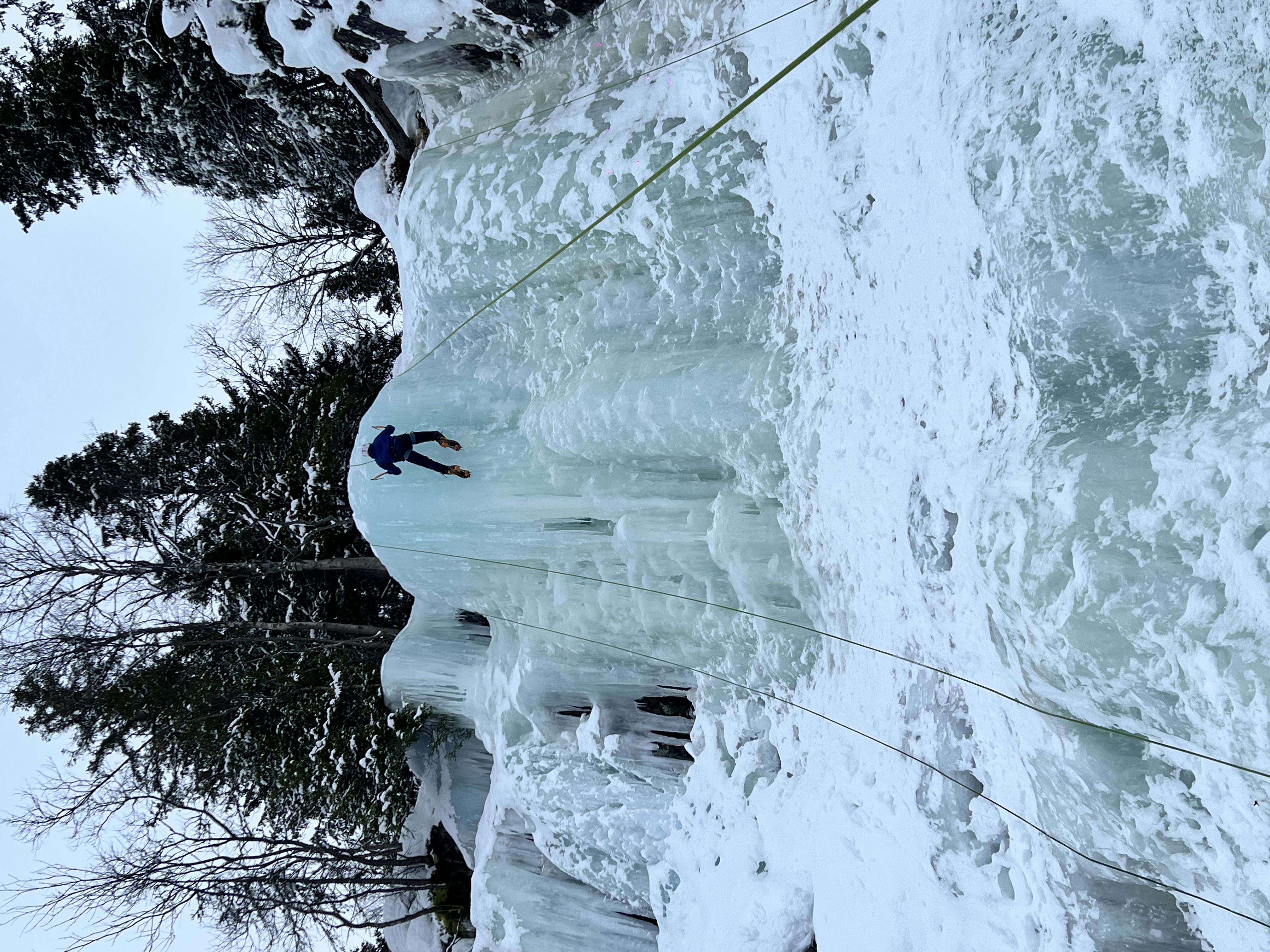 media_BXSJ829VLGBJ6NNJ