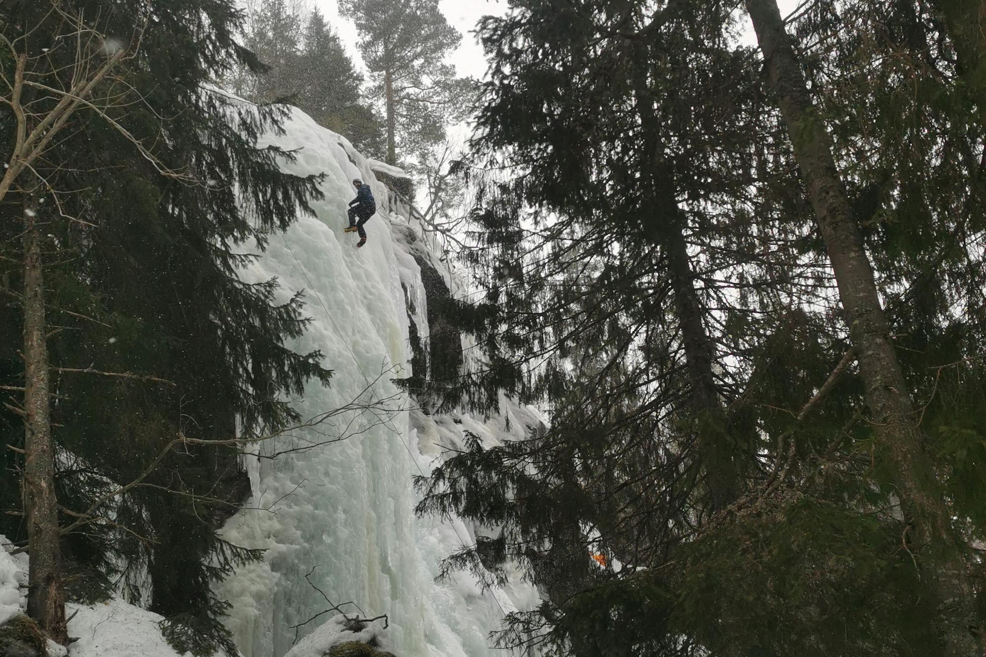 media_BZ9J8EMKKNRNRN7M