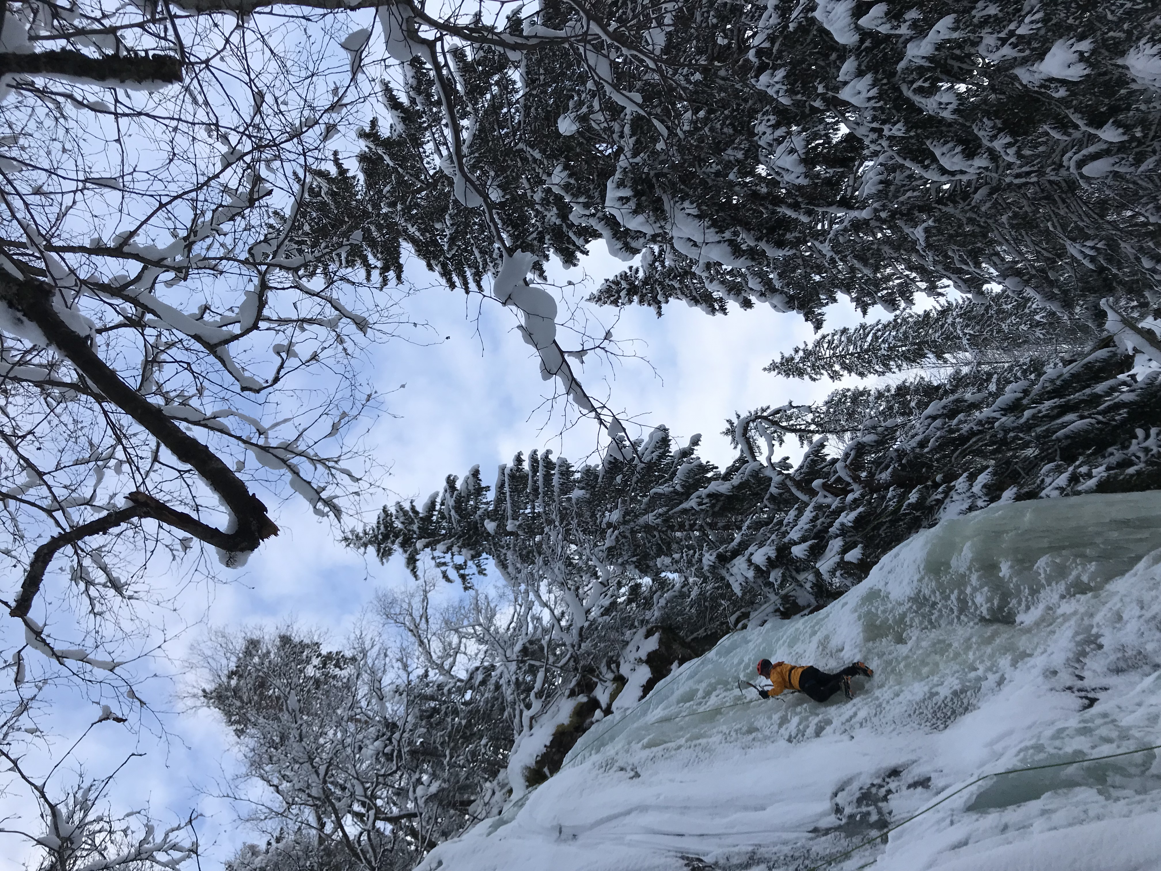 media_MNVPLVKXPQ5EFR69